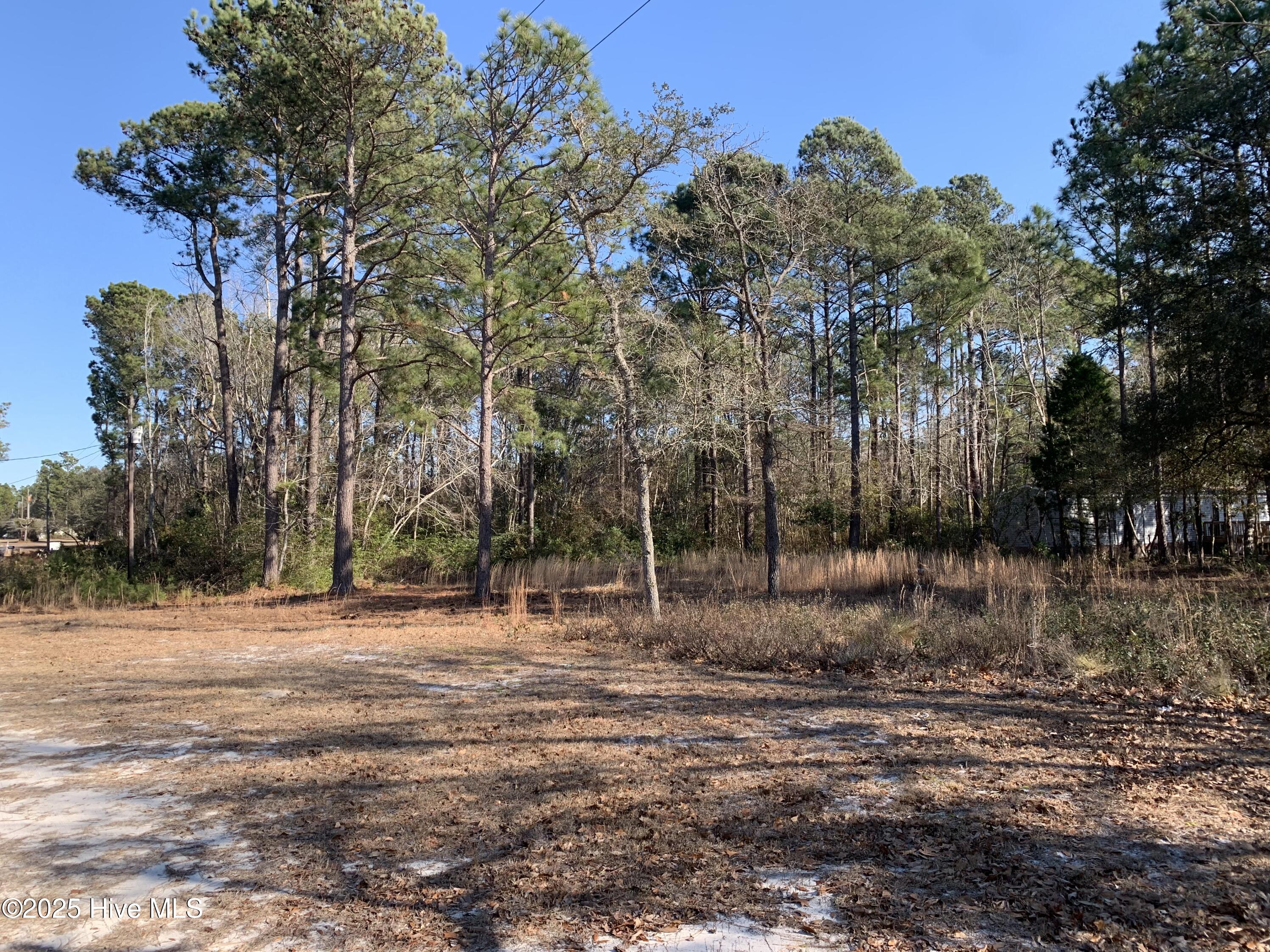 2841 Flamingo Drive Property Photo 2