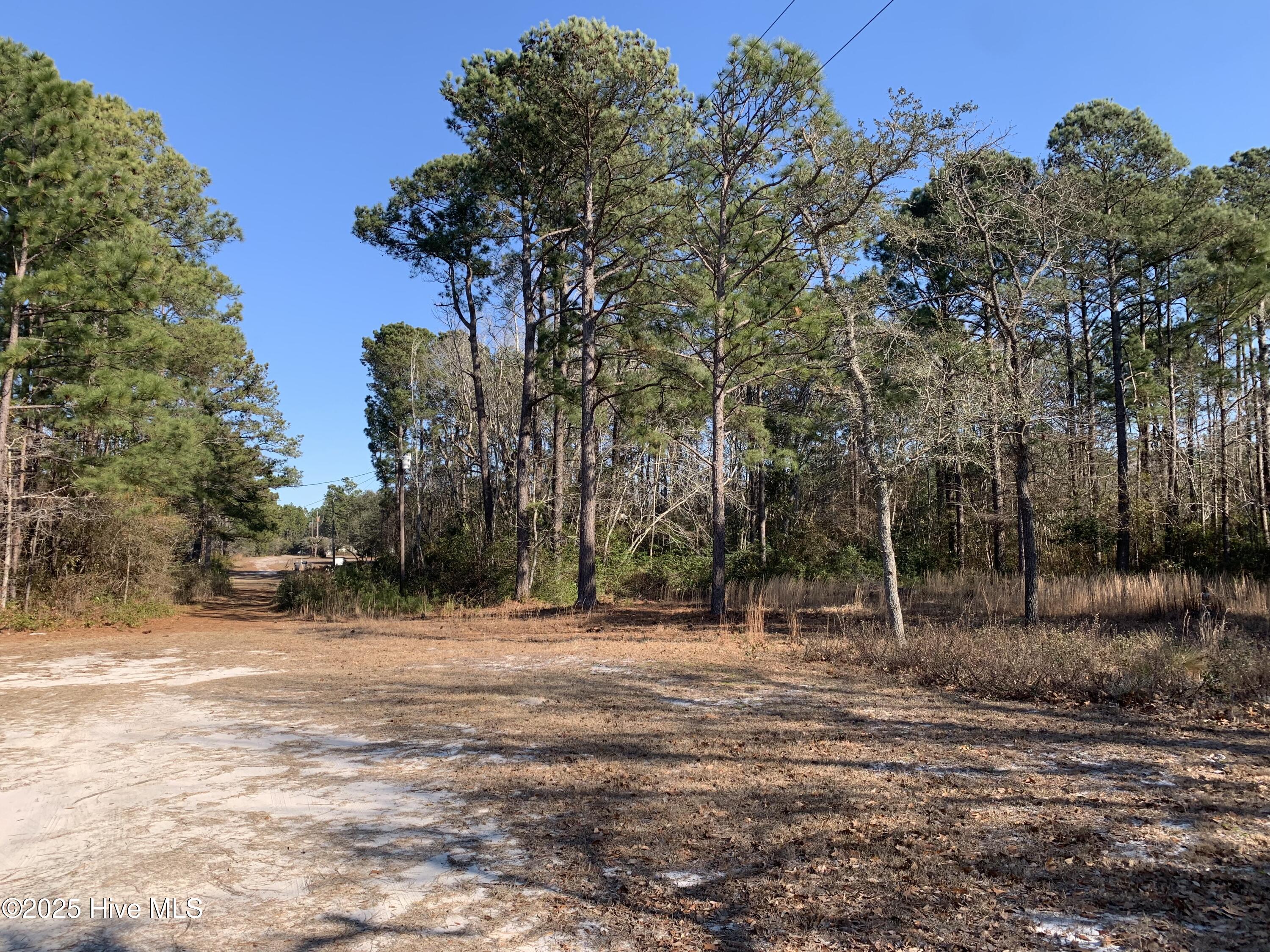 2841 Flamingo Drive Property Photo 3