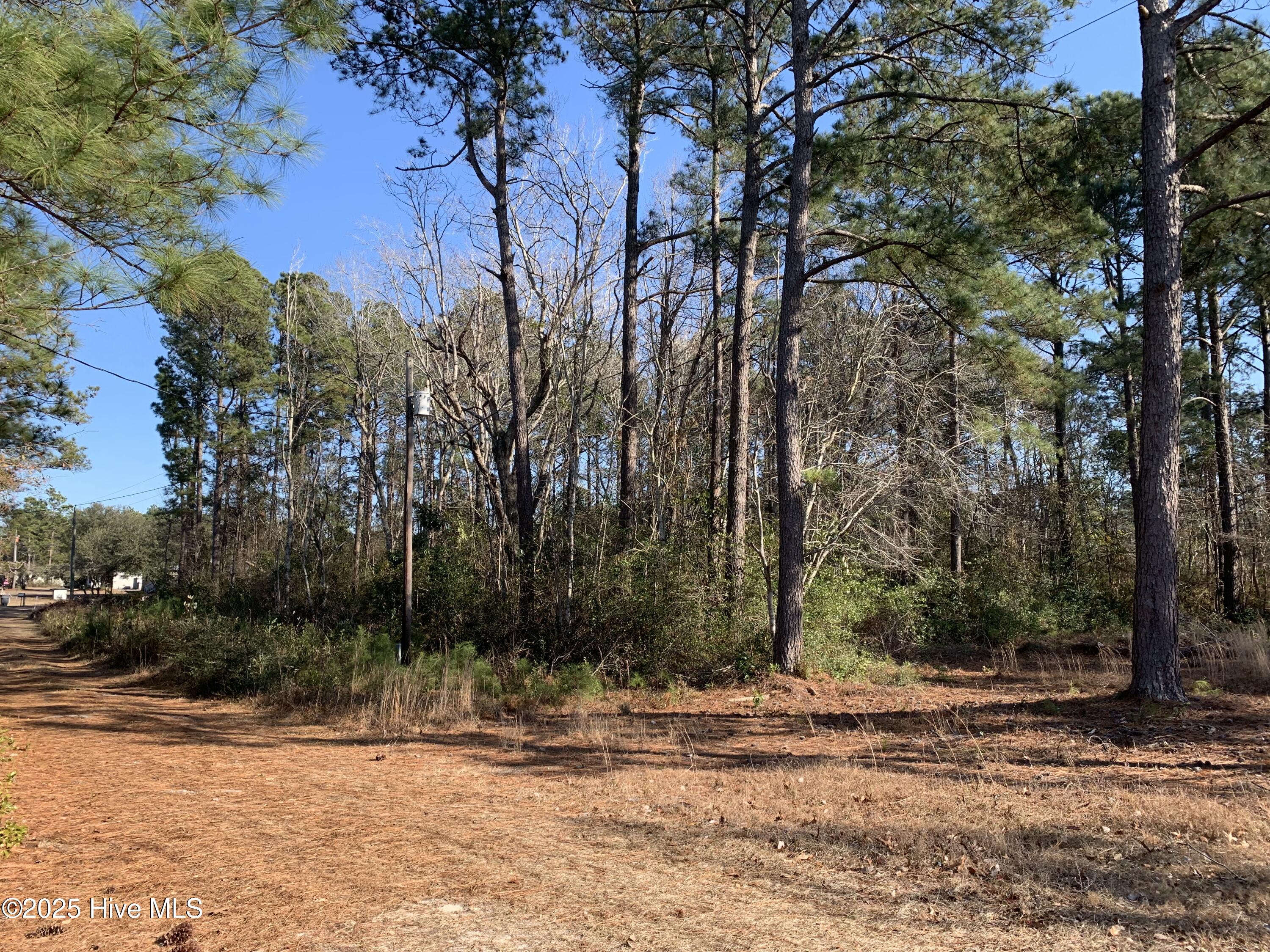 2841 Flamingo Drive Property Photo 4