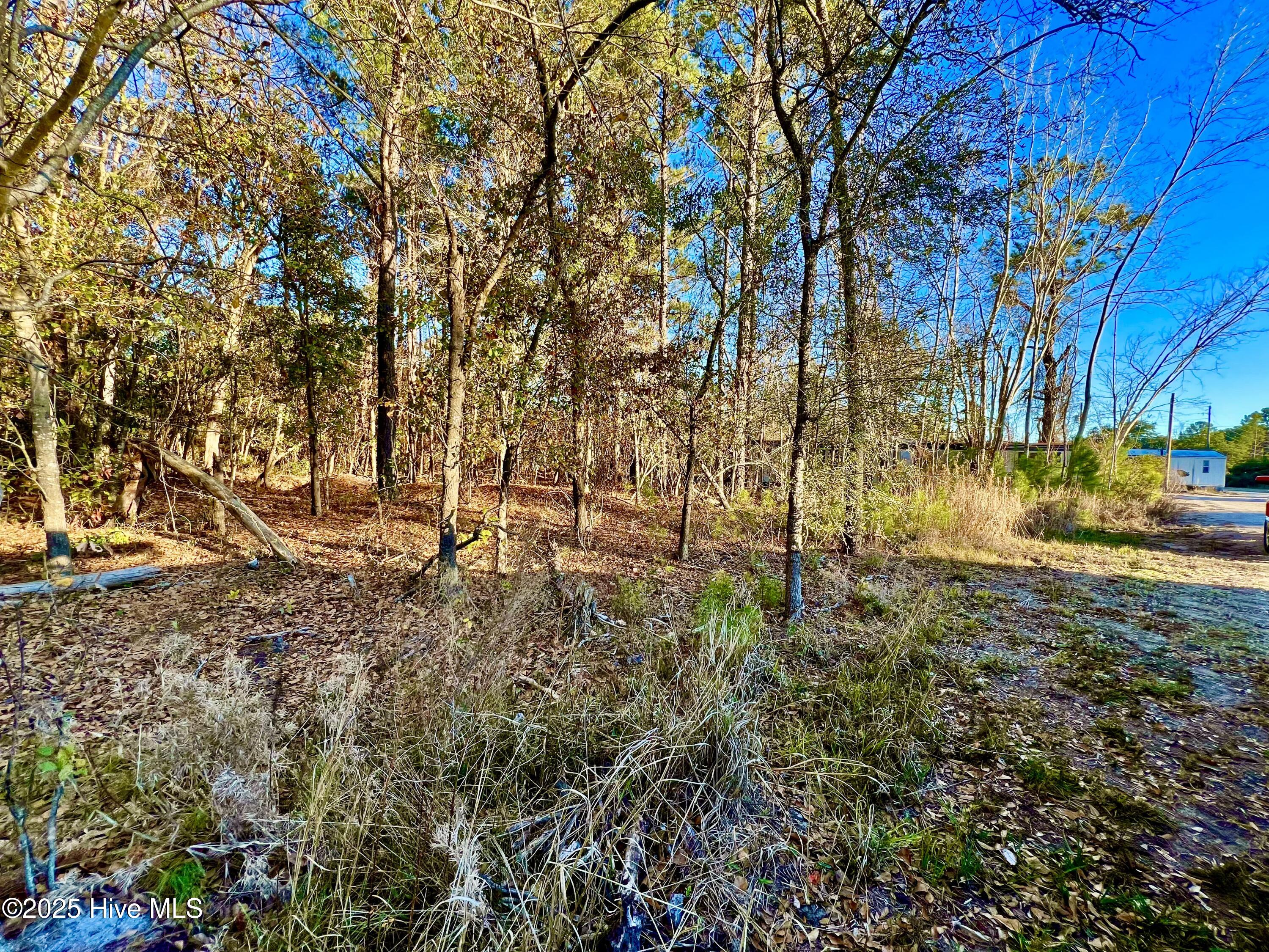 20689 Us Highway 17 Property Photo 11