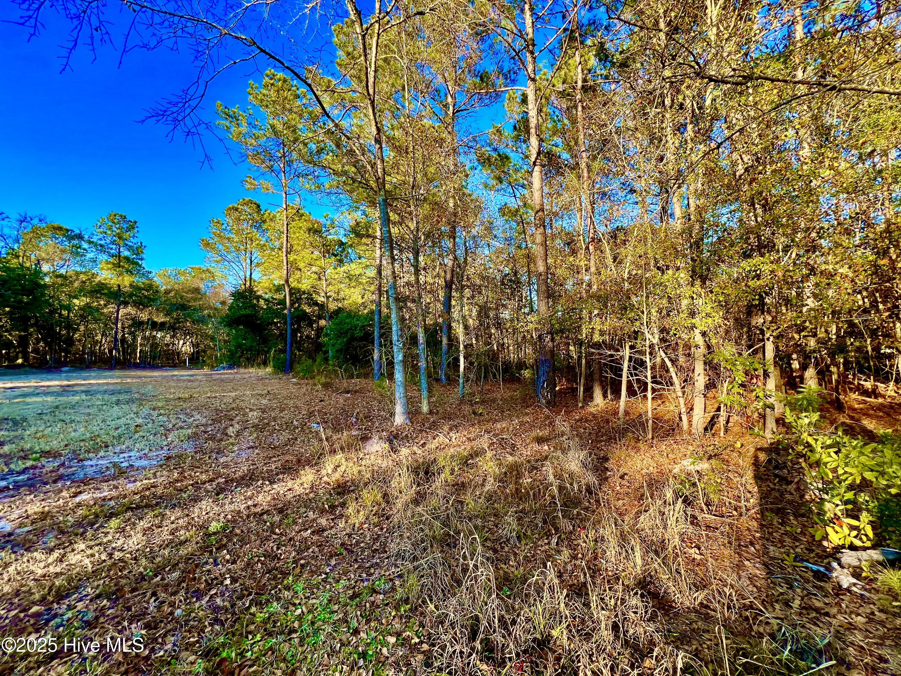 20689 Us Highway 17 Property Photo 12