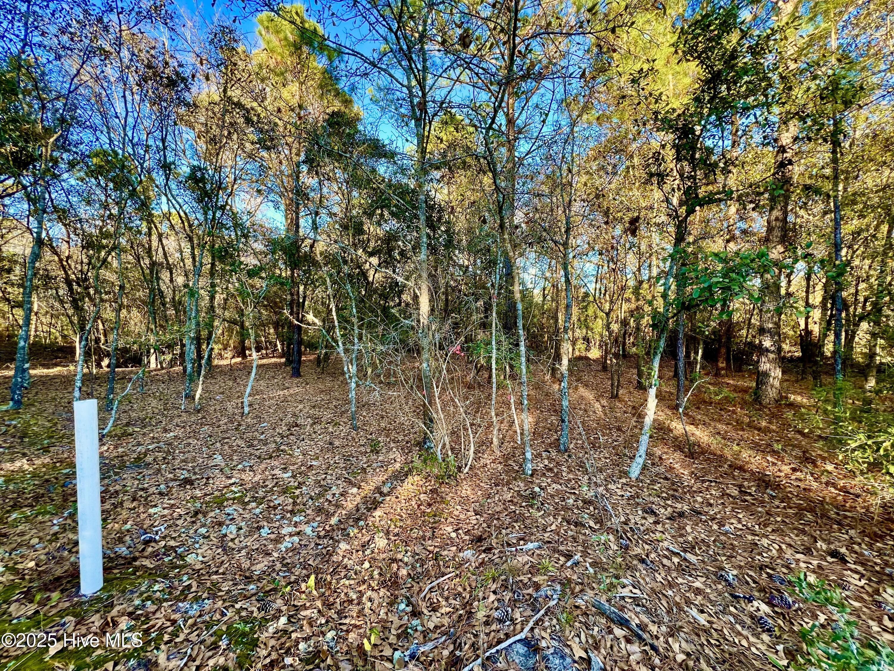 20689 Us Highway 17 Property Photo 13