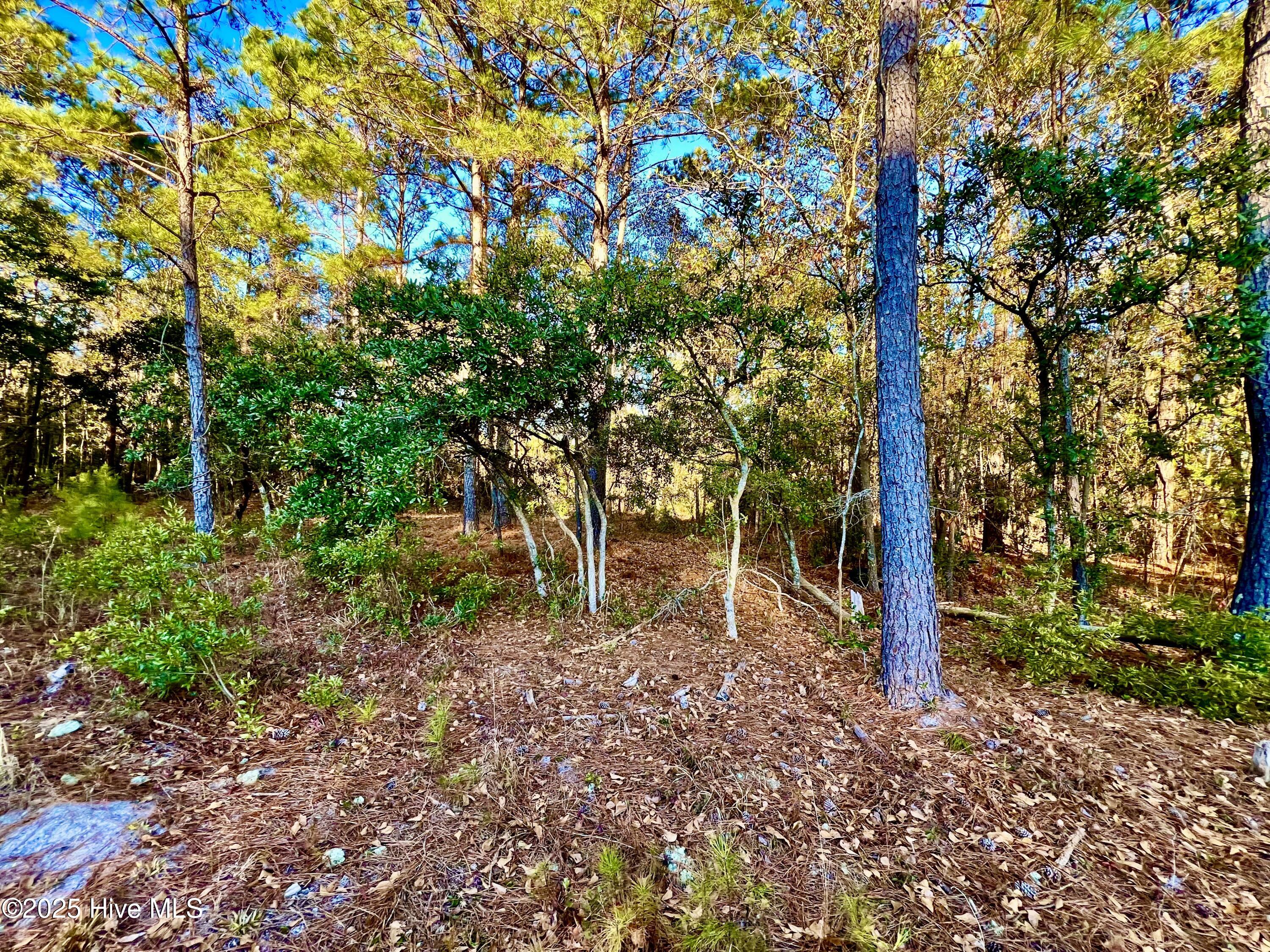 20689 Us Highway 17 Property Photo 14