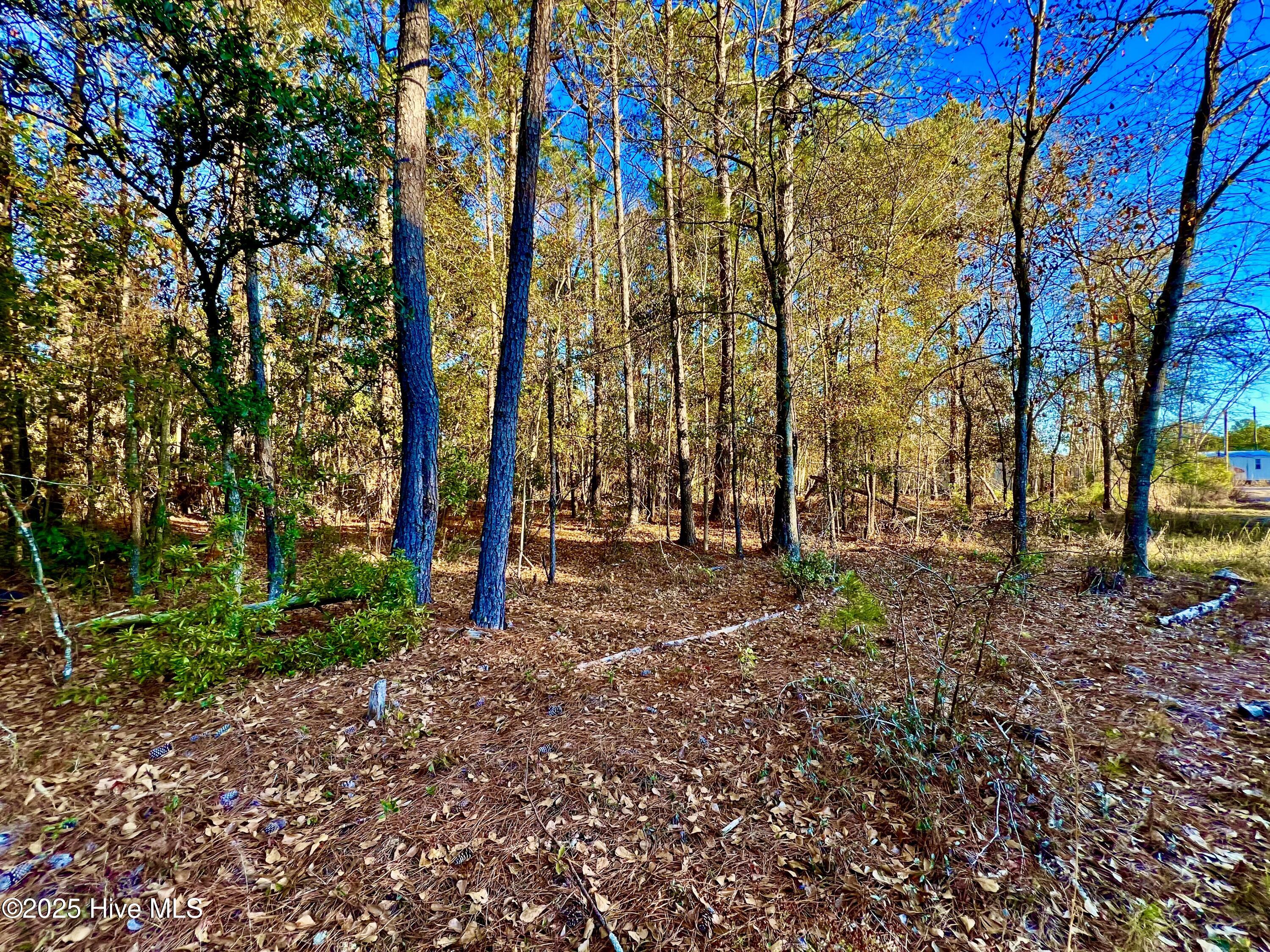 20689 Us Highway 17 Property Photo 15