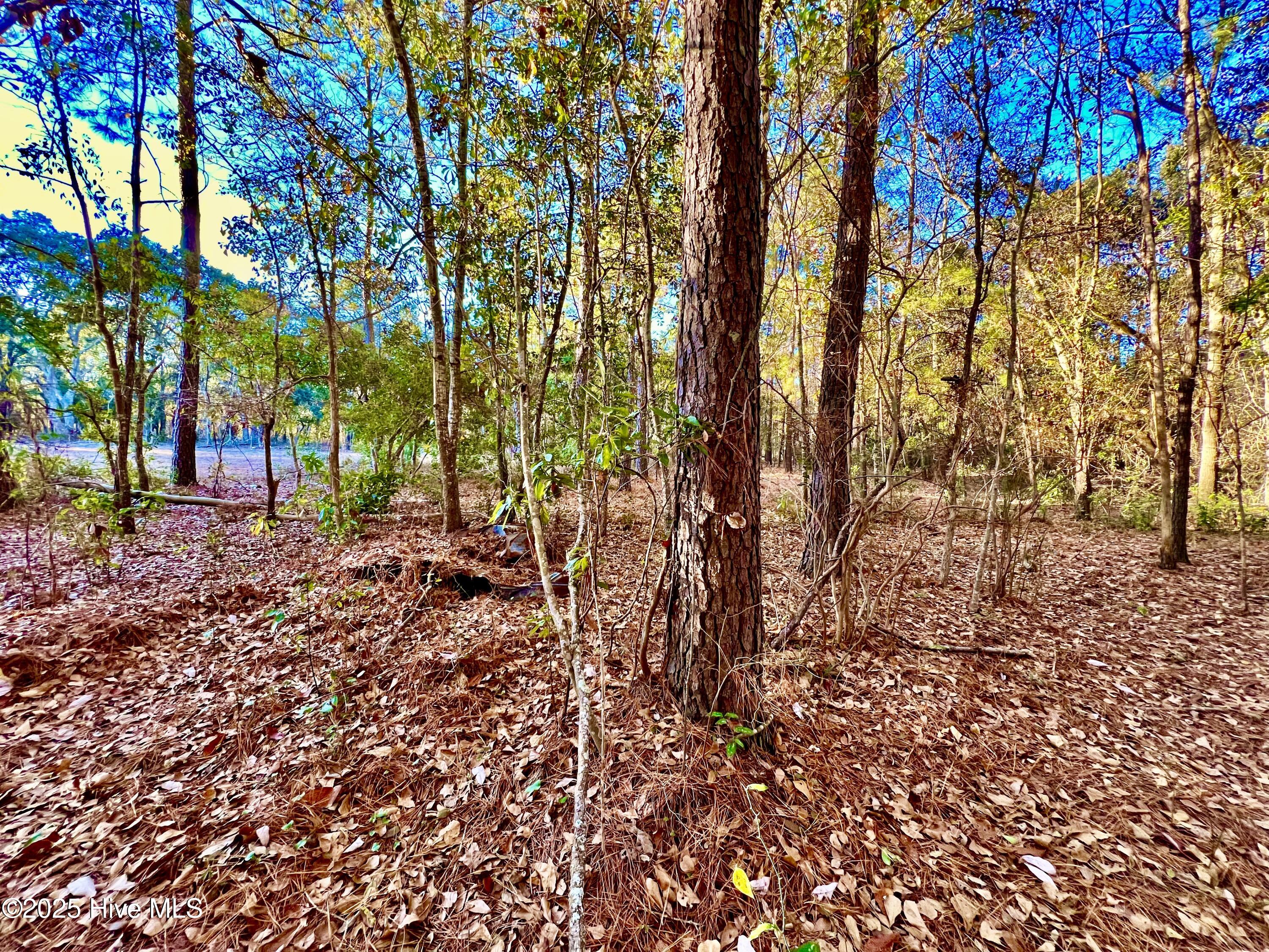 20689 Us Highway 17 Property Photo 18