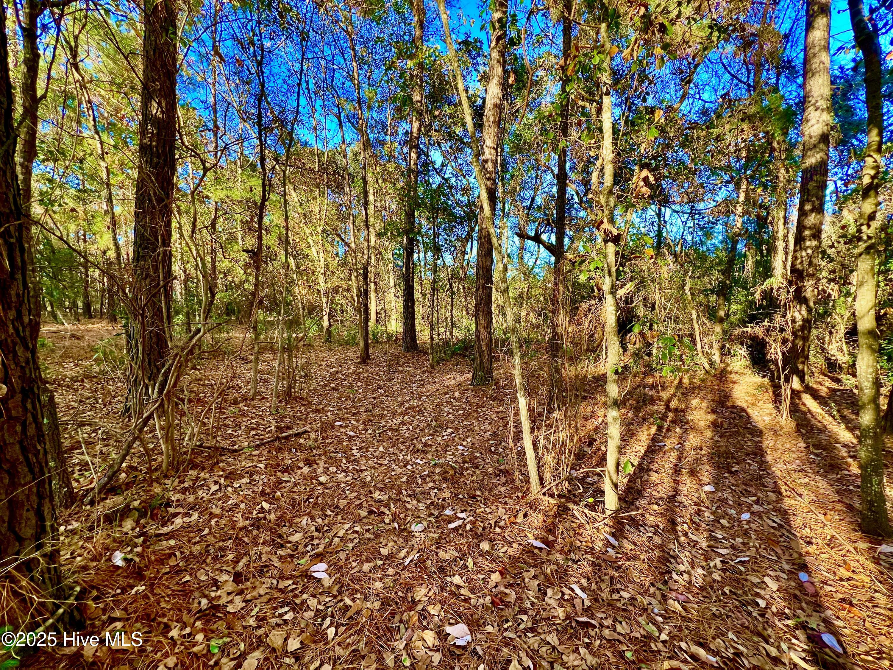 20689 Us Highway 17 Property Photo 19