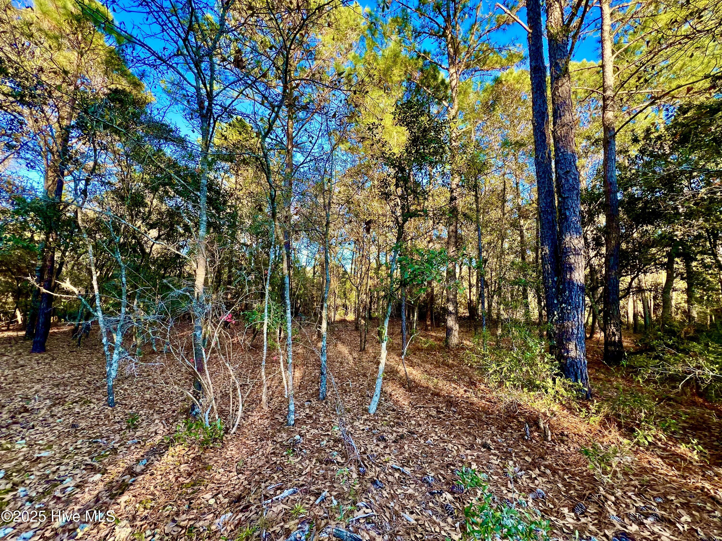 20689 Us Highway 17 Property Photo 20