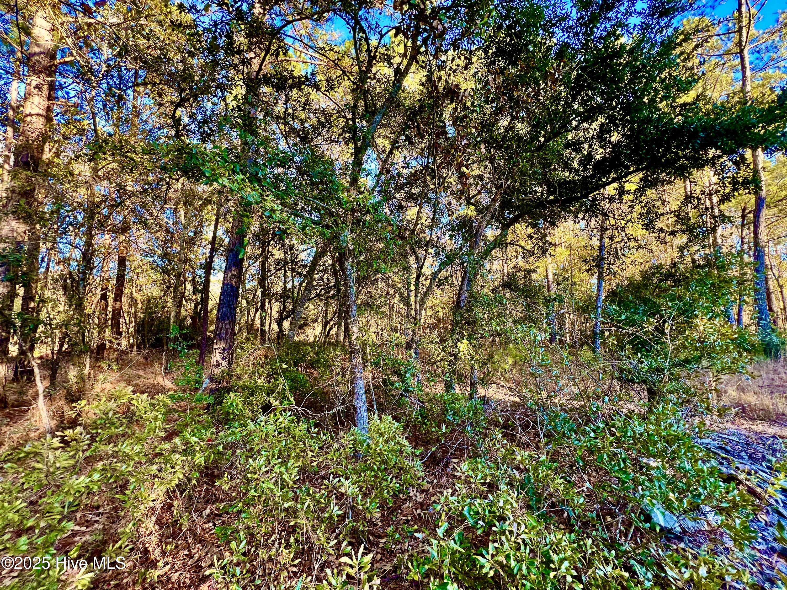 20689 Us Highway 17 Property Photo 21