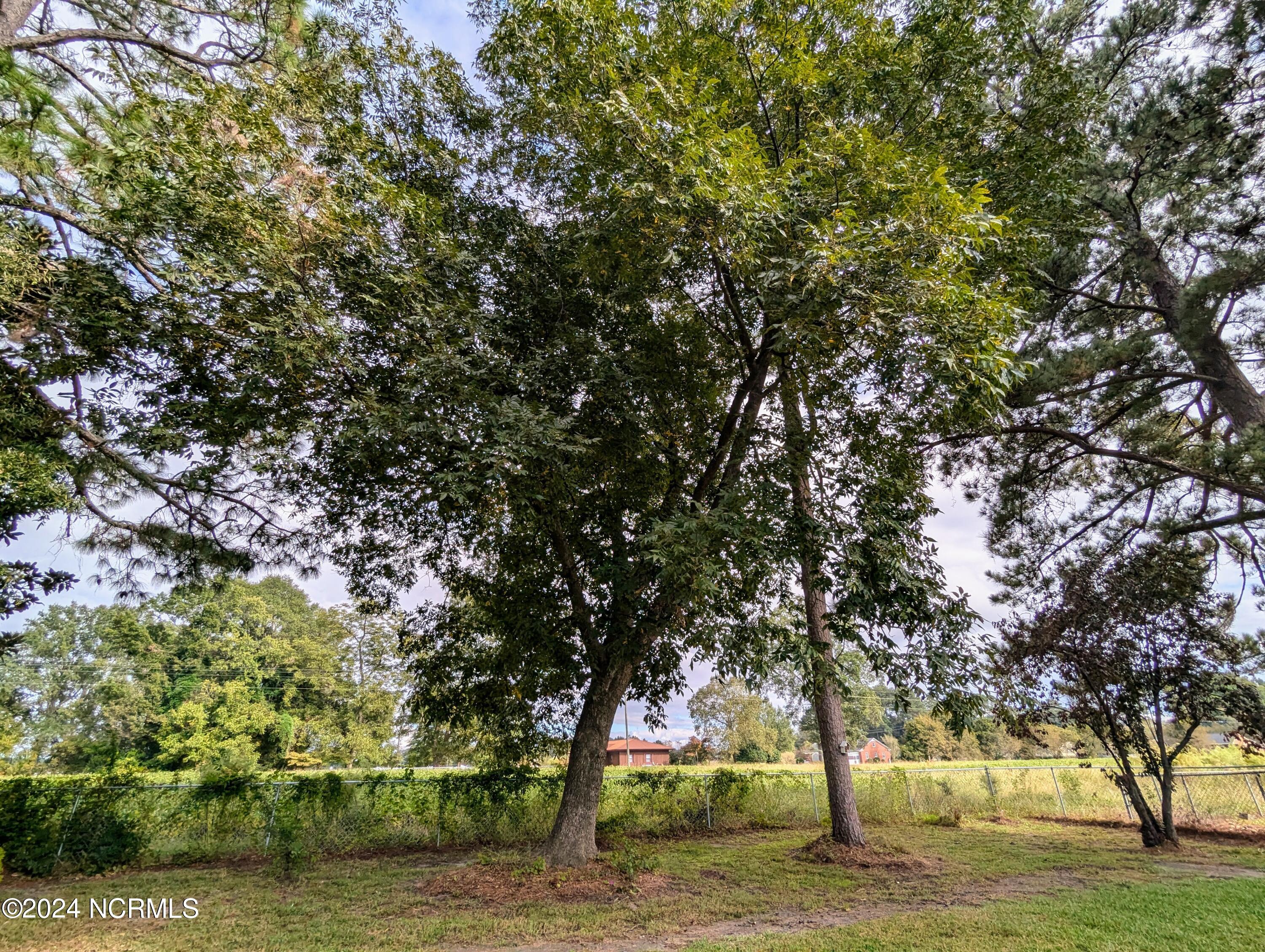 910 Holloman Street Property Photo 17