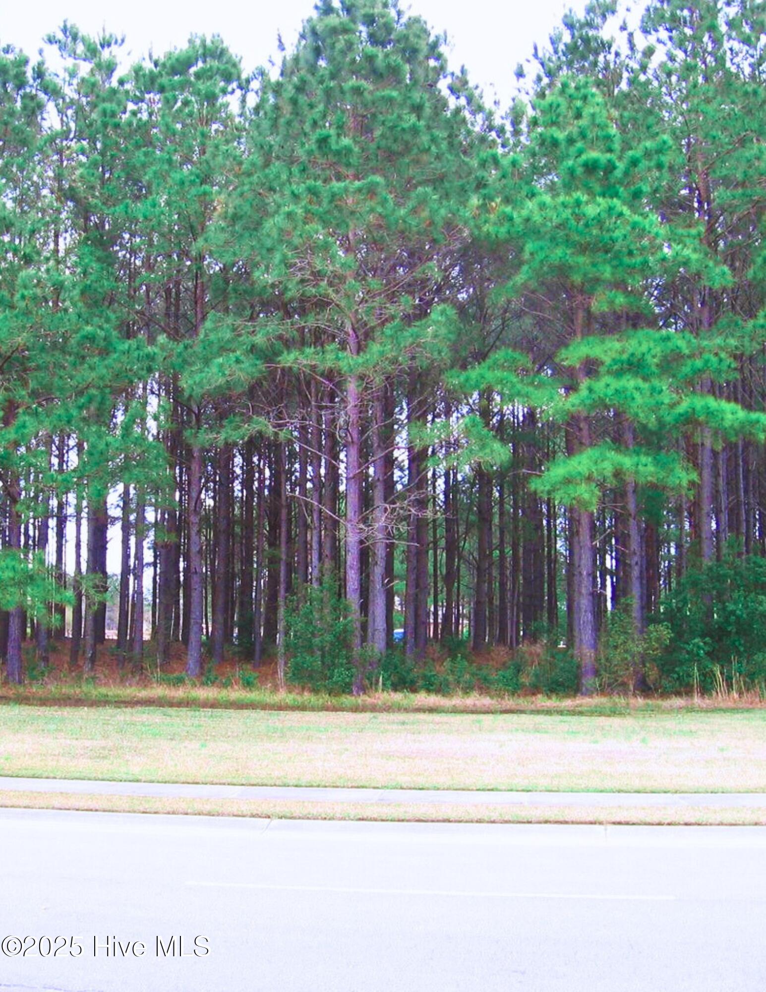 394 Autumn Pheasant Loop Property Photo 1