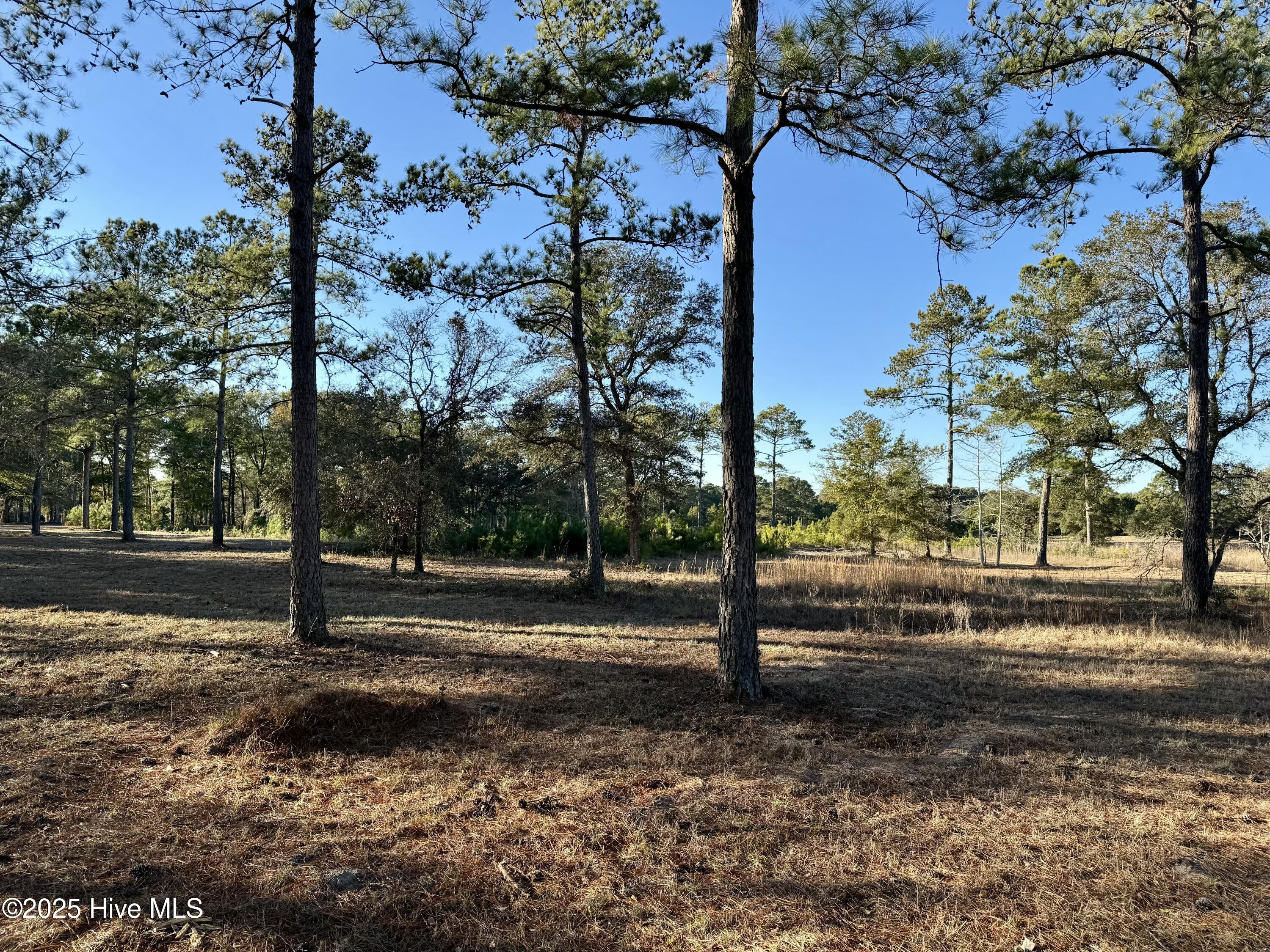 7575 Haddington Place Property Photo 8