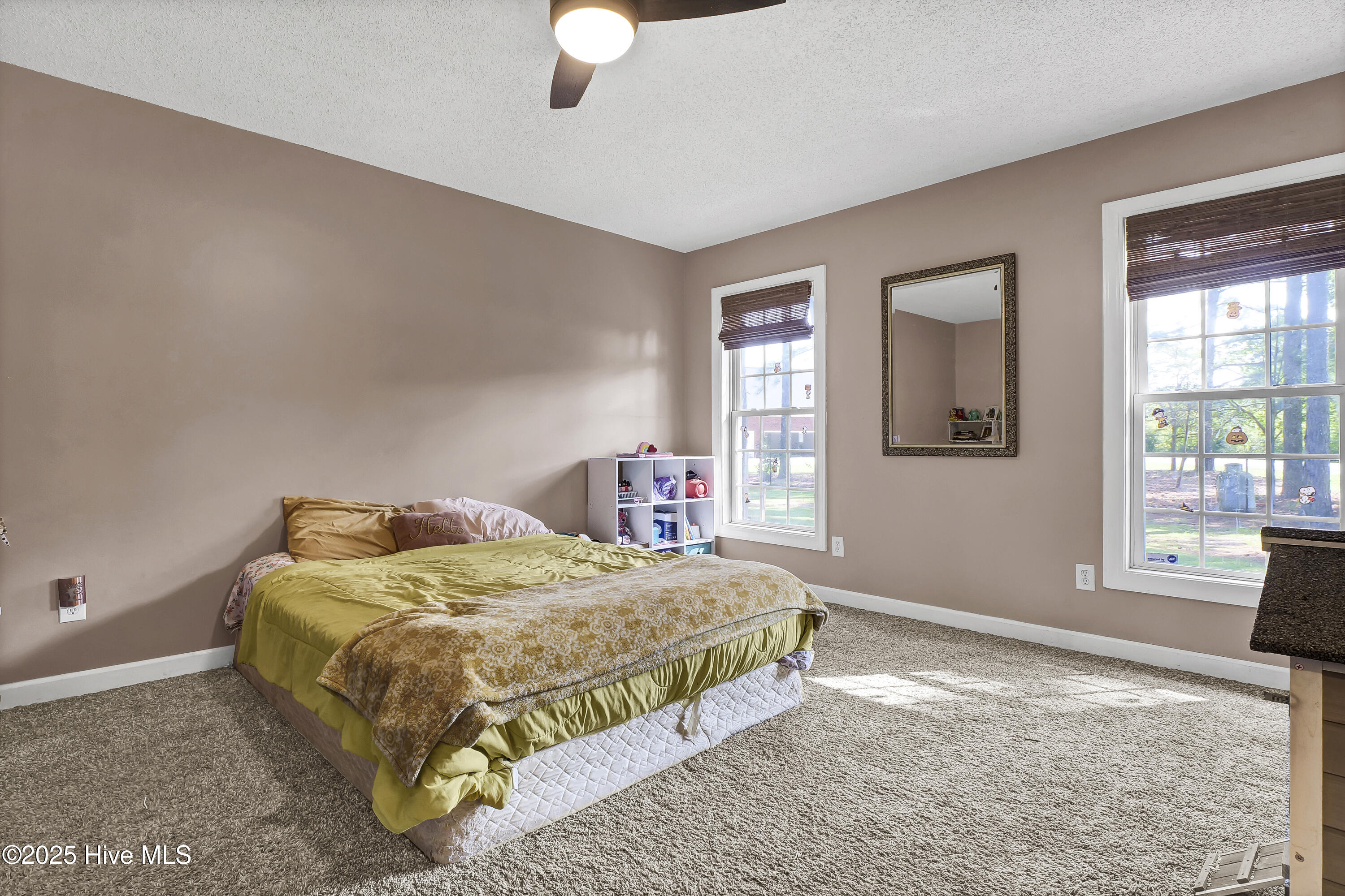 4353 Duplin County Road Property Photo 22