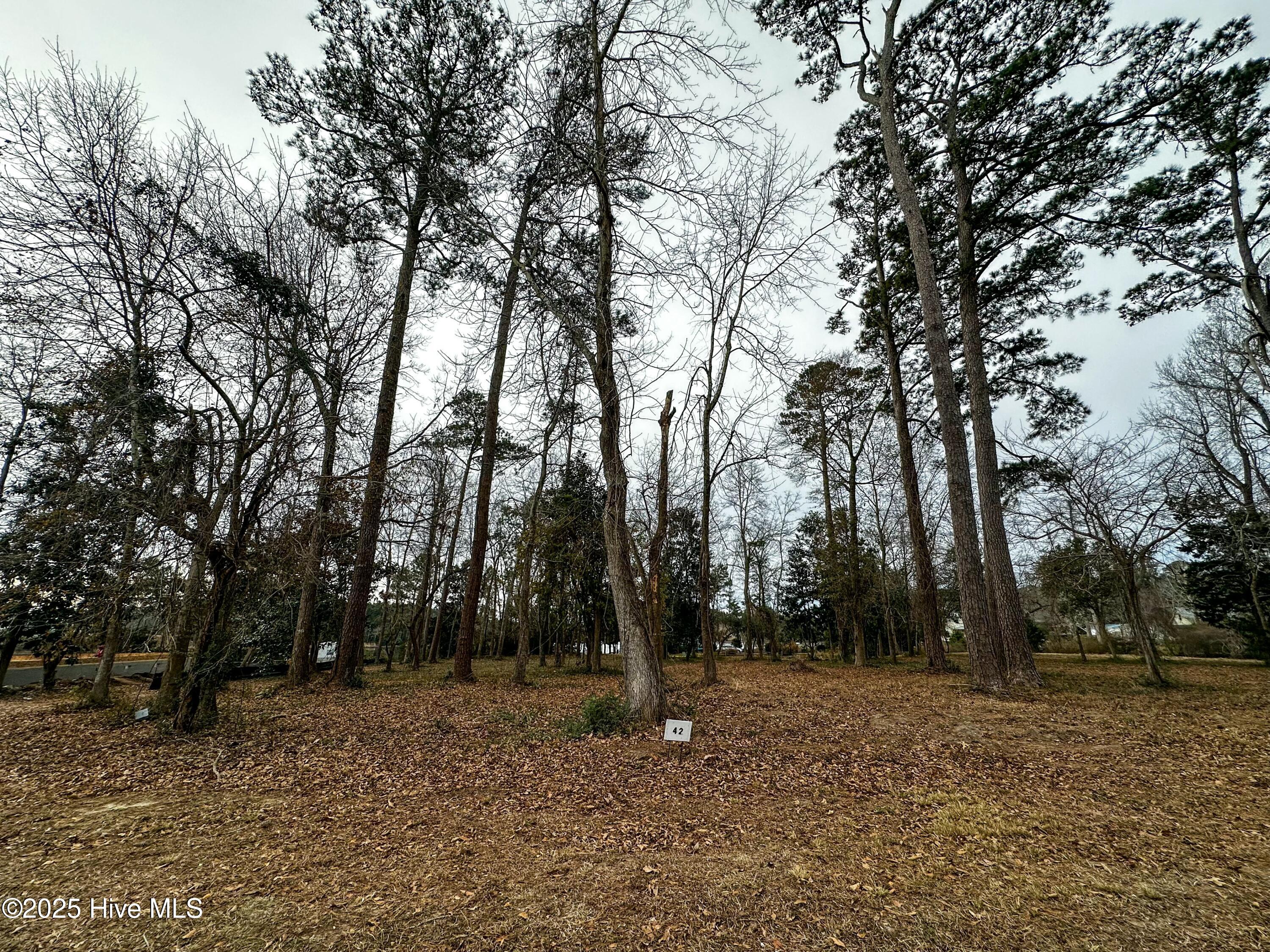 42 Crown Pointe Drive Property Photo 2
