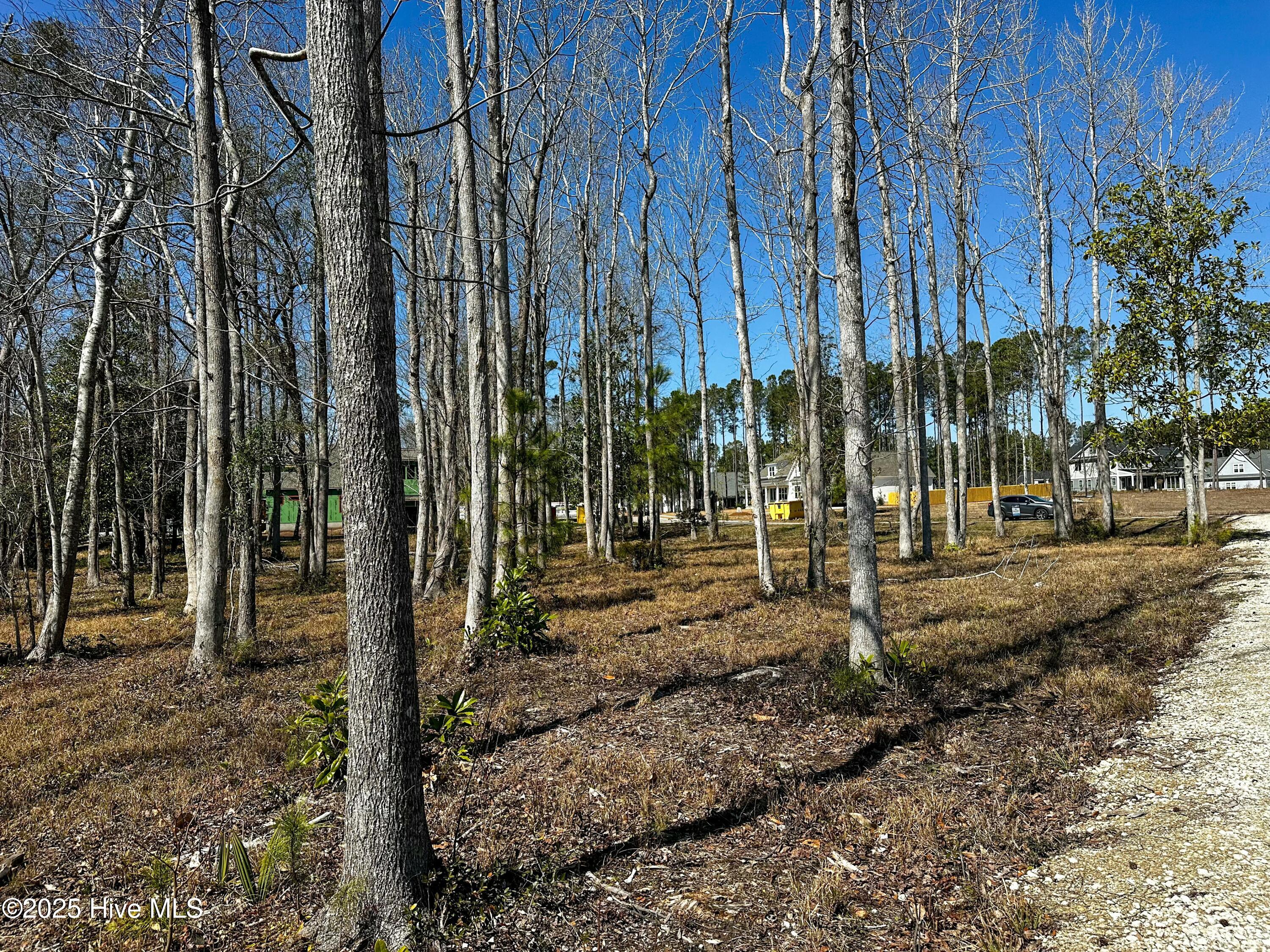 45 Crown Pointe Drive Property Photo 4