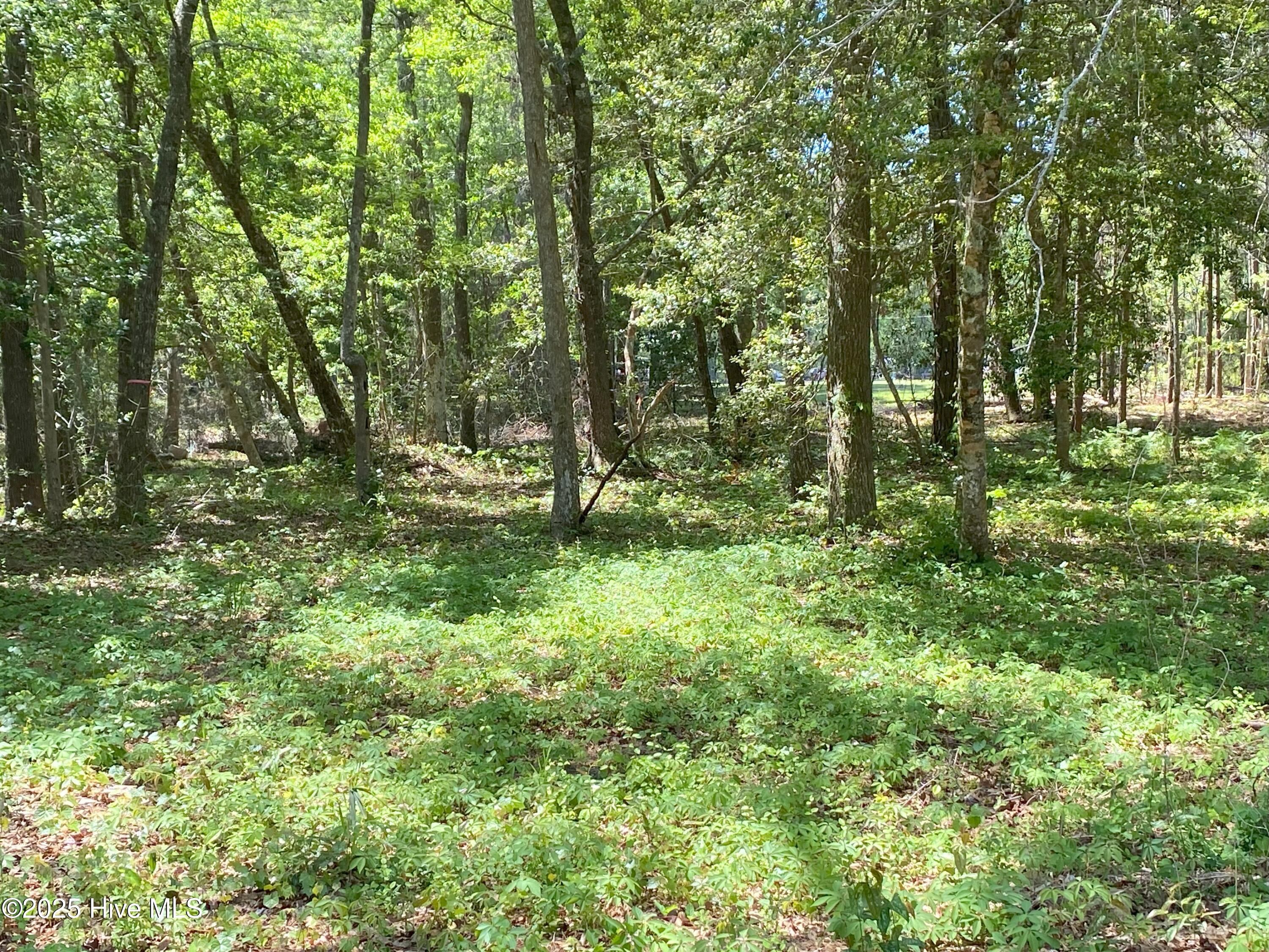 1359 Sweetwater Lane Property Photo 1