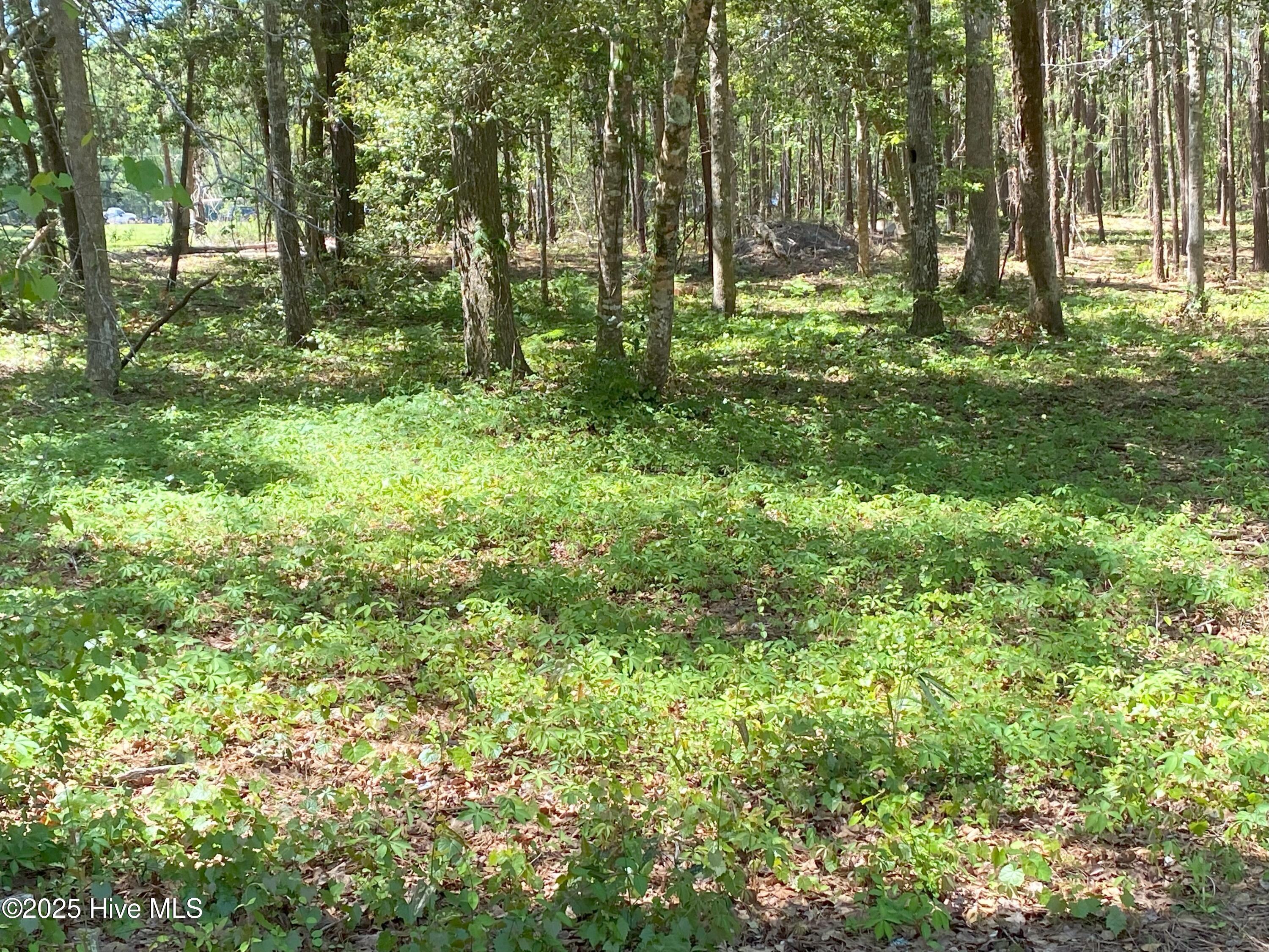 1359 Sweetwater Lane Property Photo 2