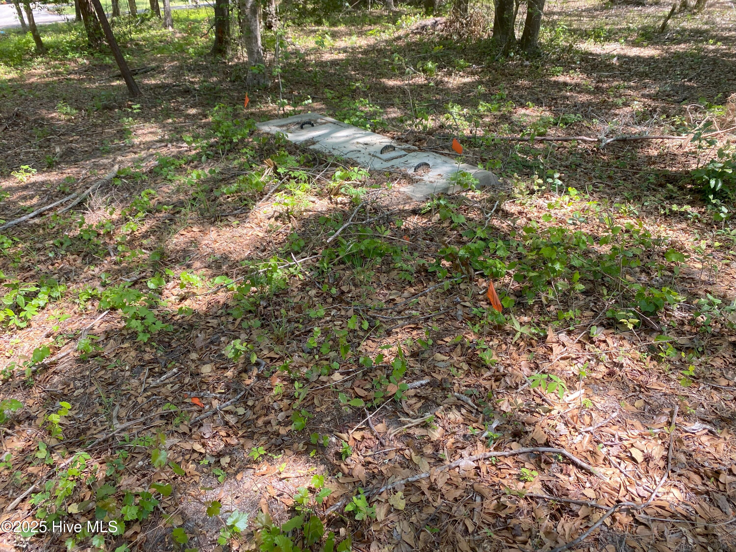 1359 Sweetwater Lane Property Photo 4