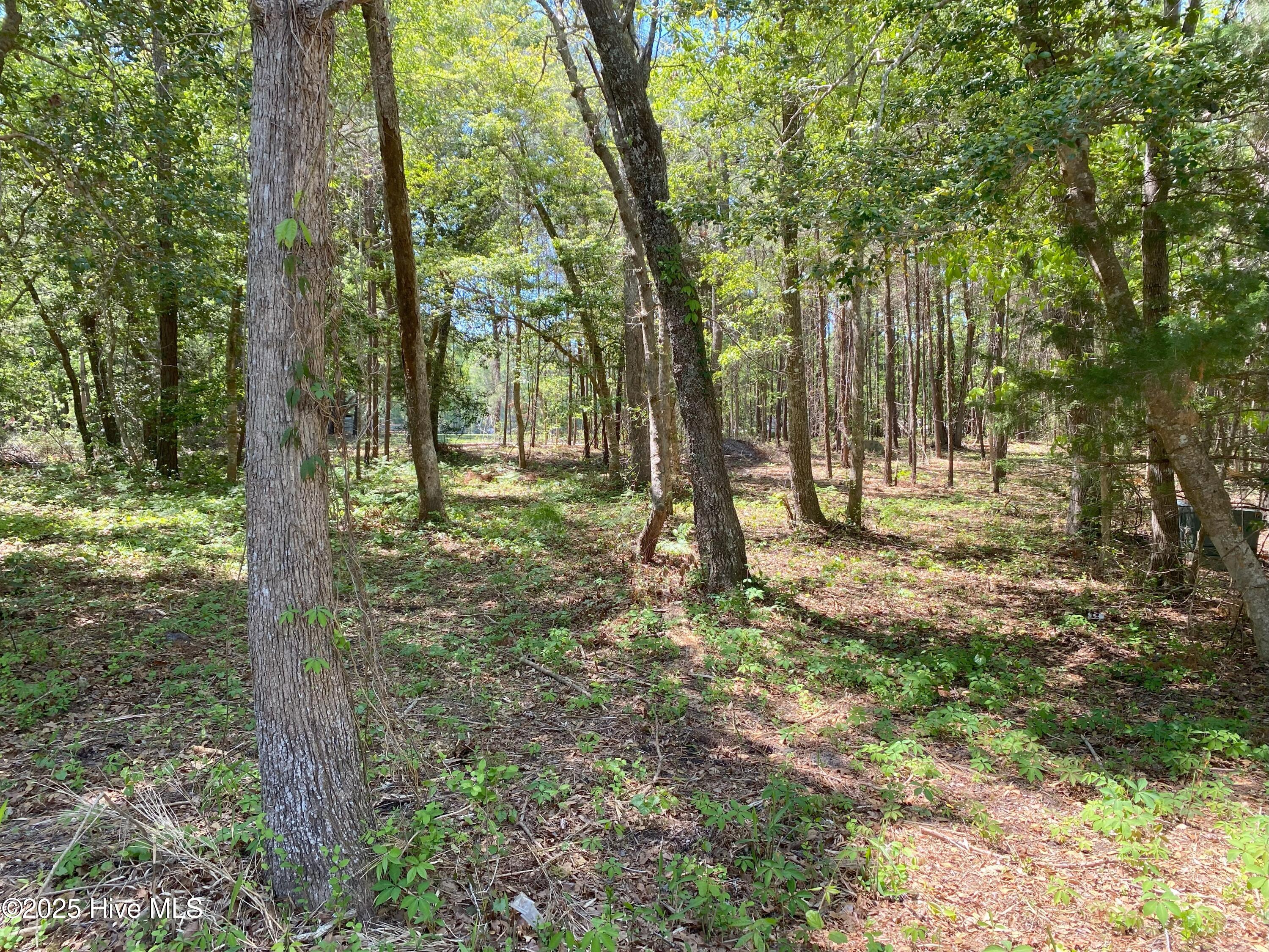 1355 Sweetwater Lane Property Photo 3