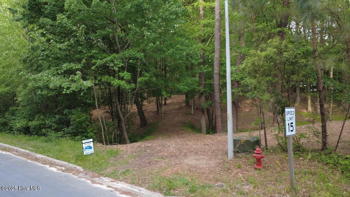 0 Lot 82 Victoria Drive Property Photo 7