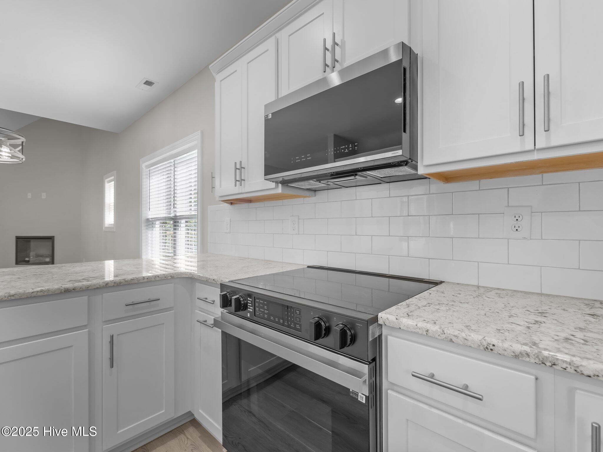 207 Sandbar Court Property Photo 11