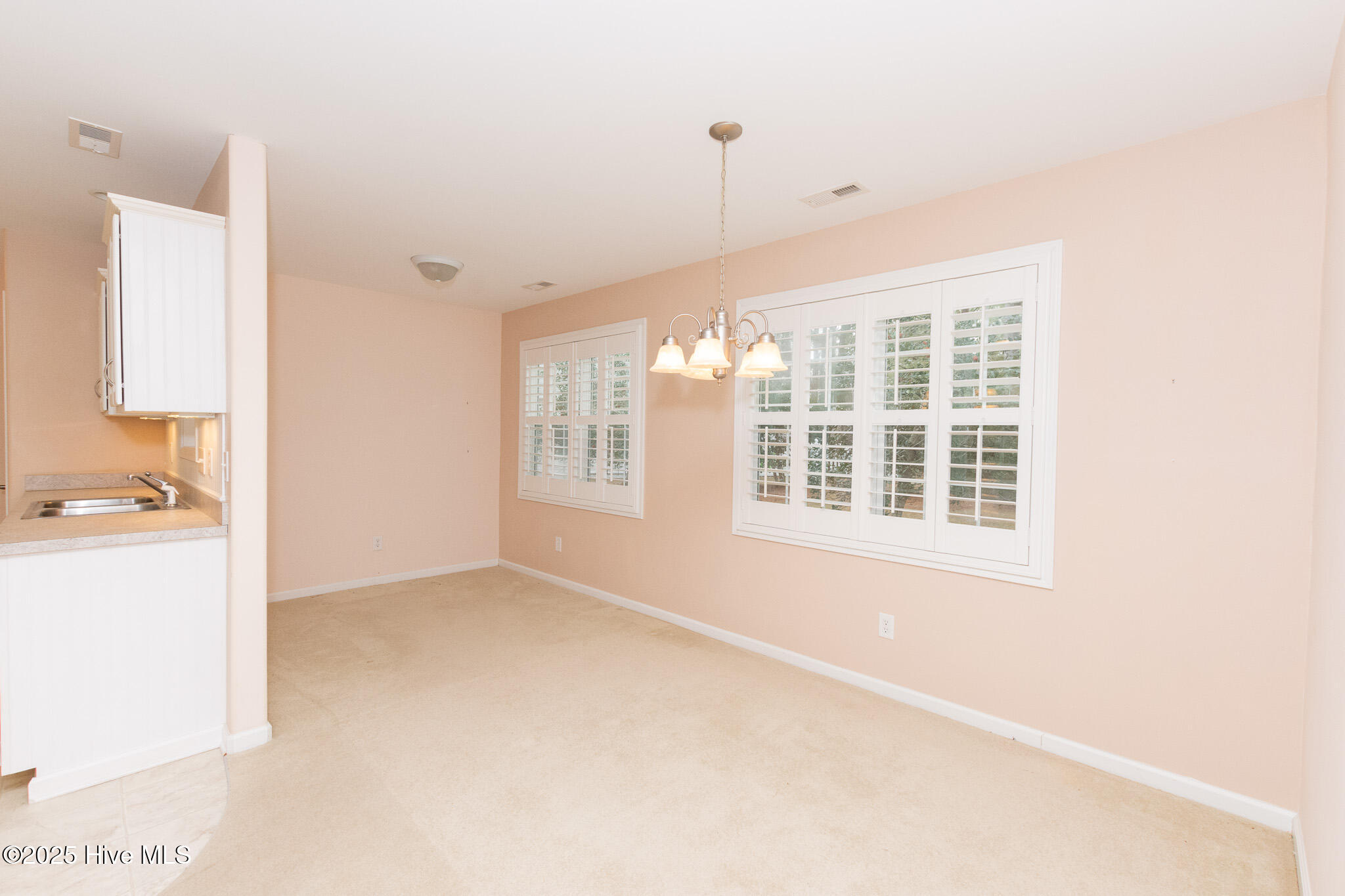 309 Jasmine Property Photo 19