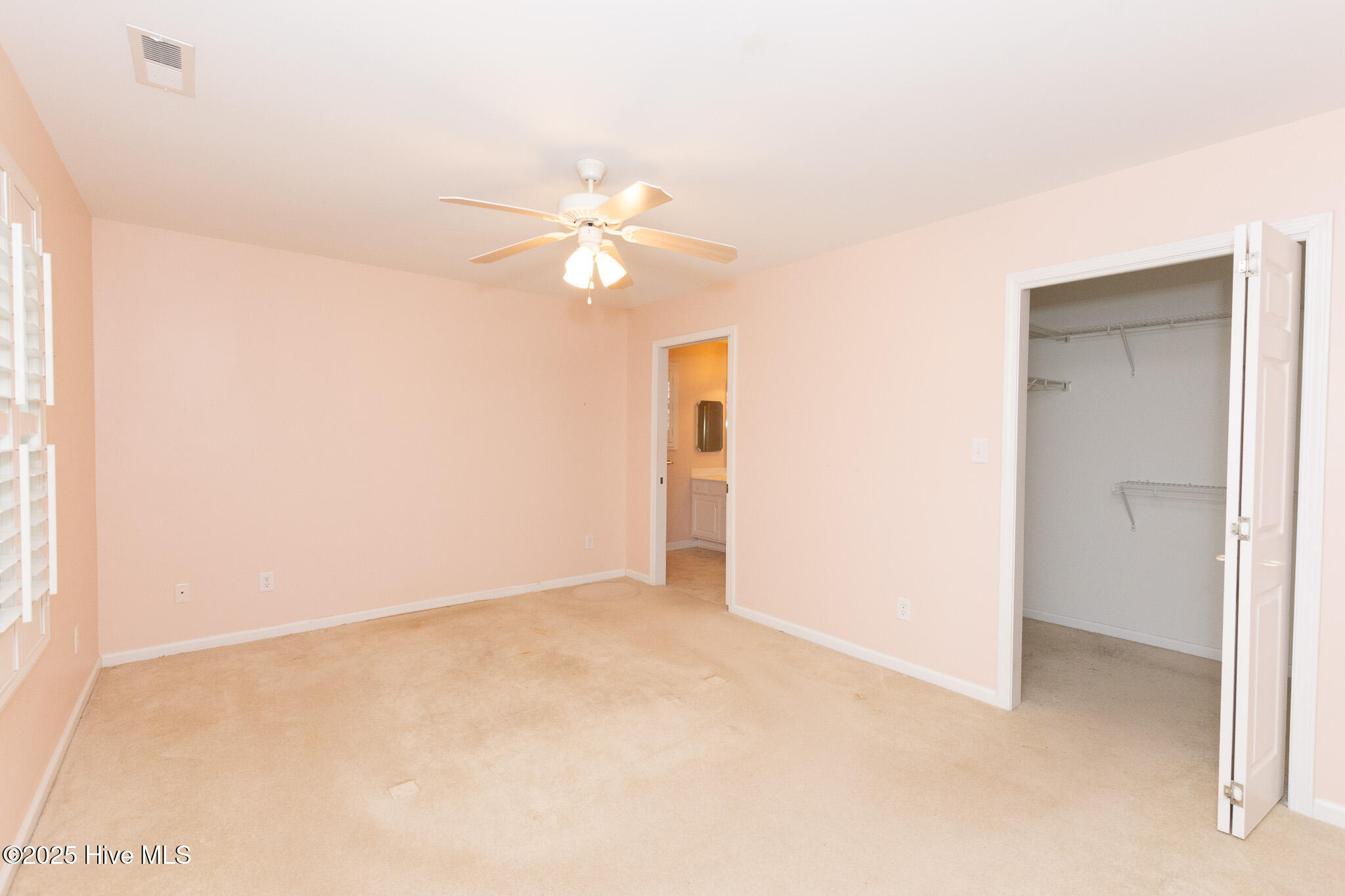 309 Jasmine Property Photo 22