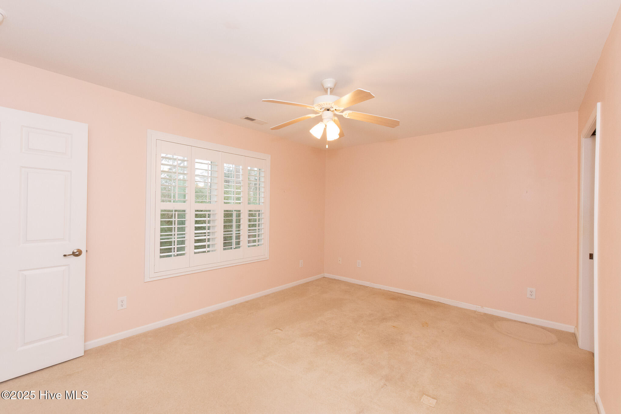 309 Jasmine Property Photo 23