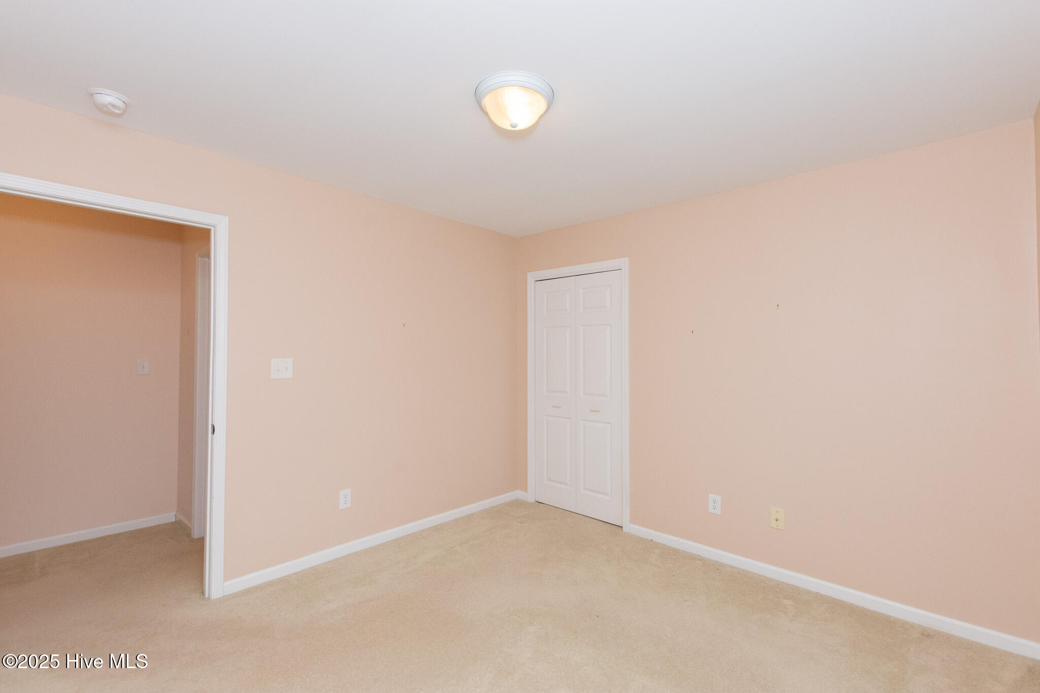 309 Jasmine Property Photo 31