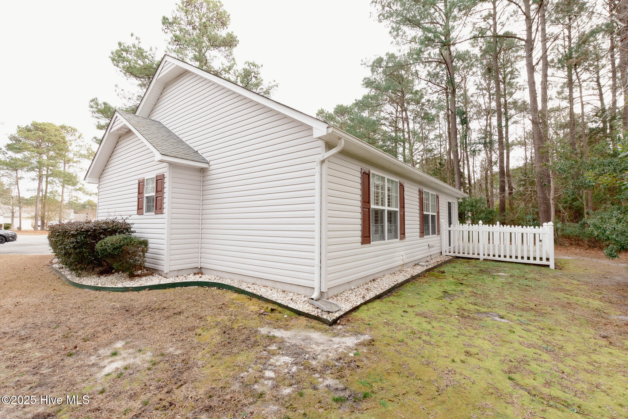 309 Jasmine Property Photo 41