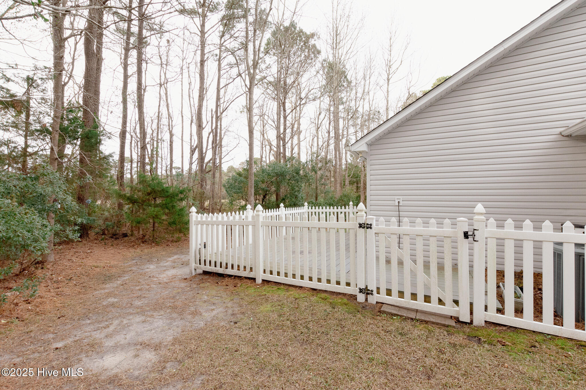 309 Jasmine Property Photo 45