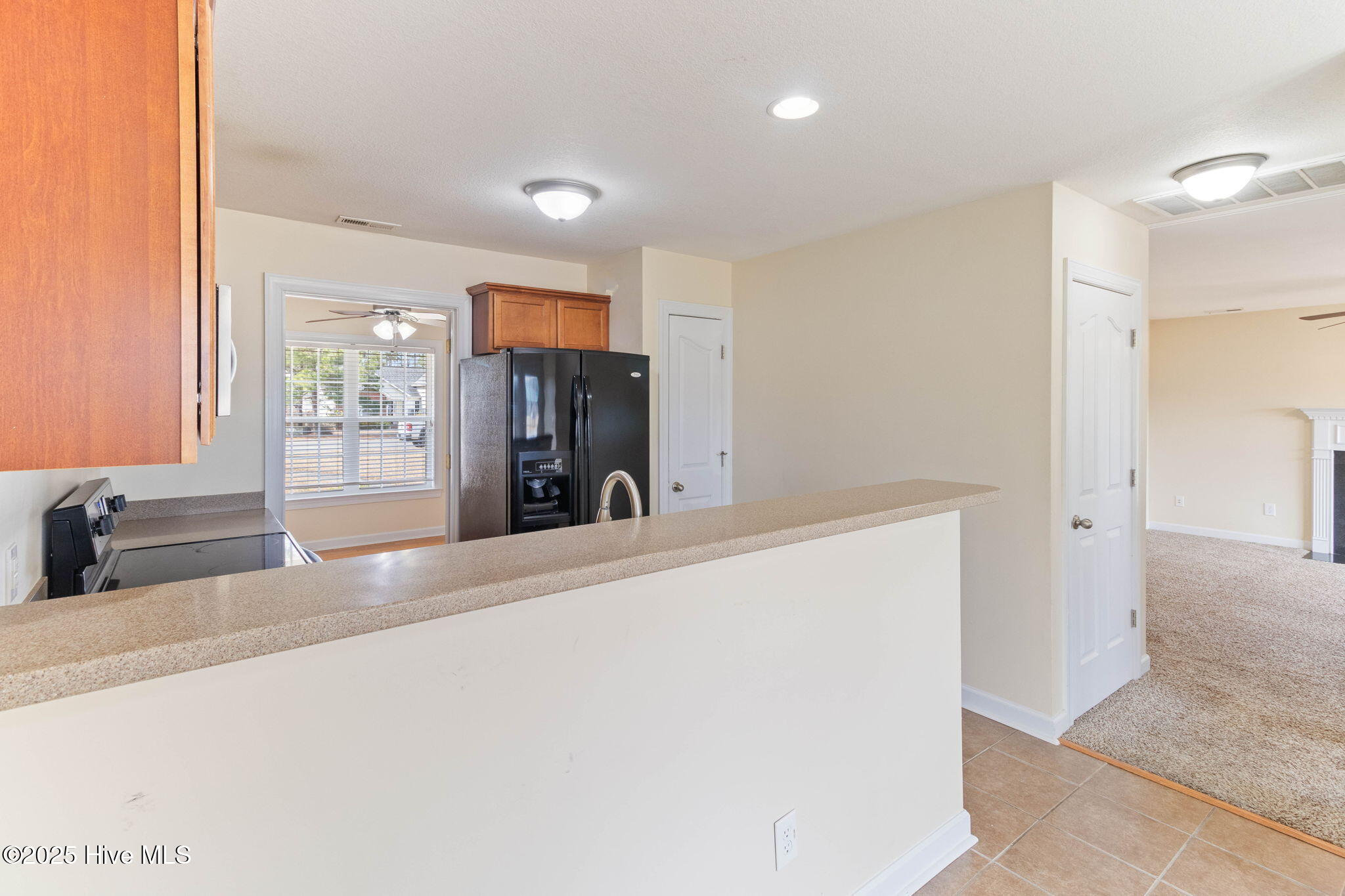 915 Savannah Drive Property Photo 20