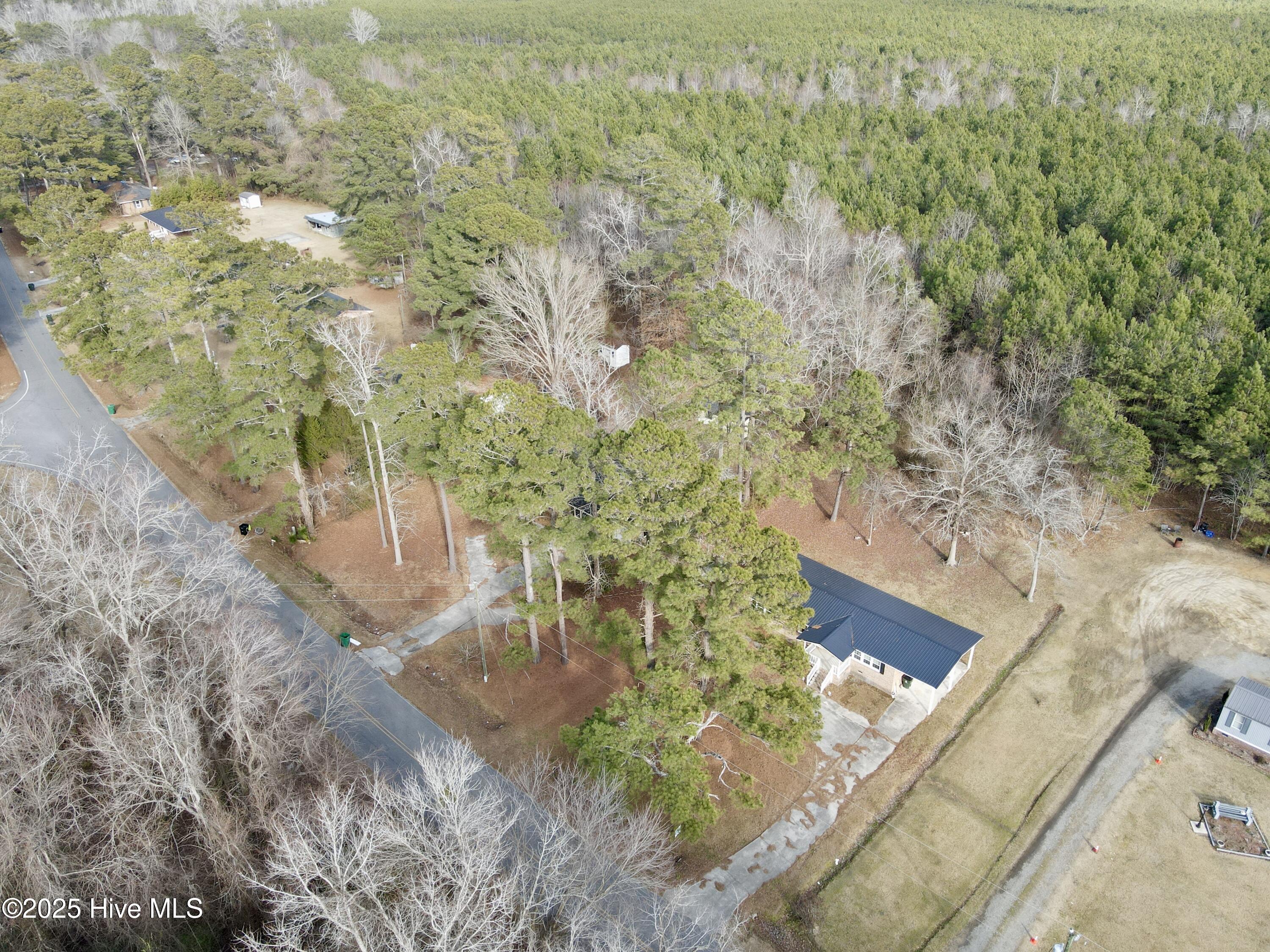 1995 Bear Trap Road Property Photo 38