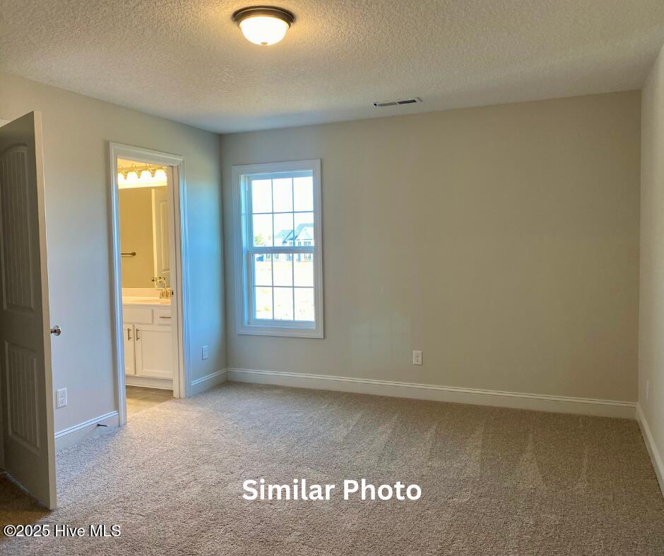 209 Big August Way Property Photo 26