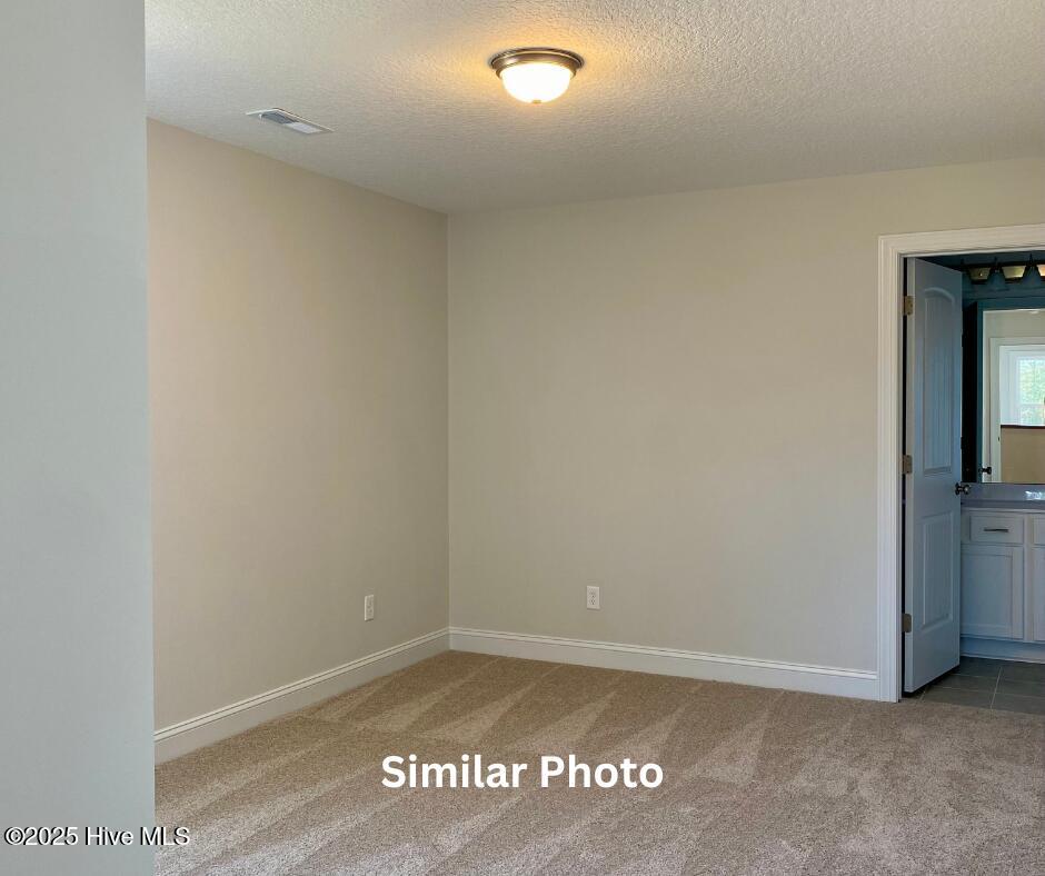 209 Big August Way Property Photo 32