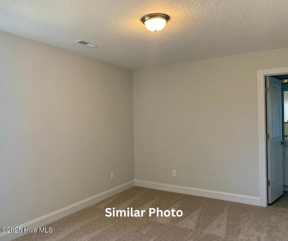209 Big August Way Property Photo 33