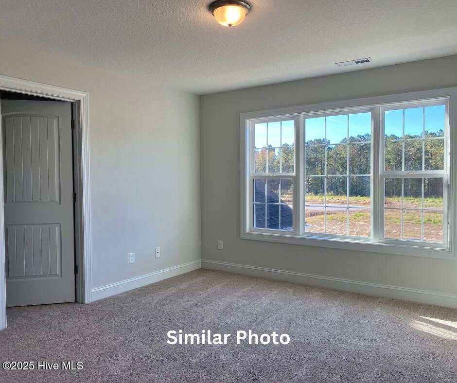 209 Big August Way Property Photo 35