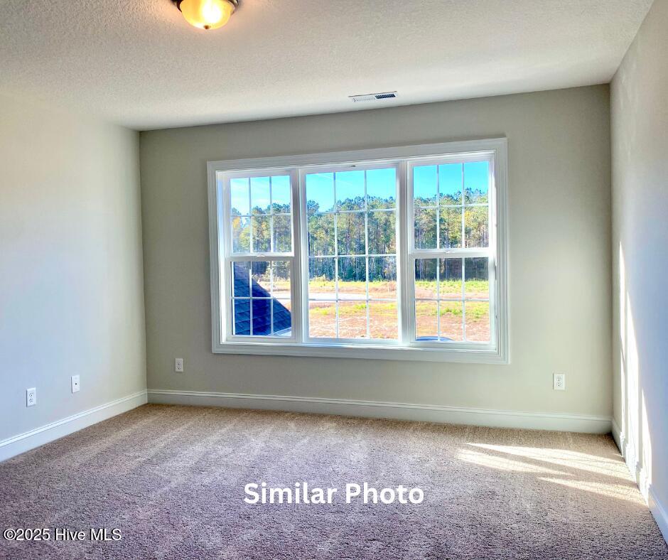 209 Big August Way Property Photo 36