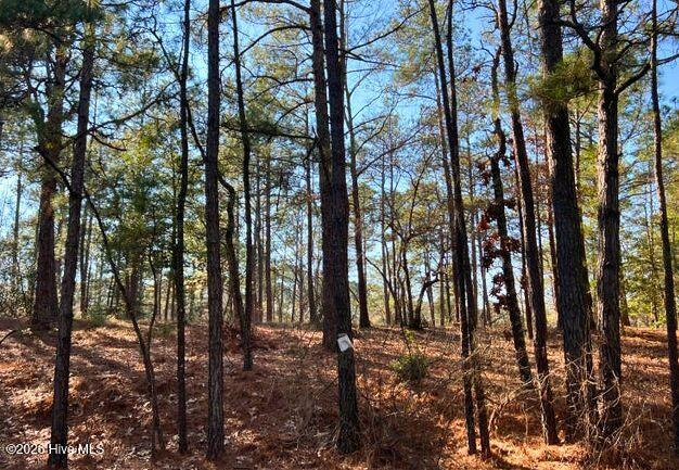 433 Thimbleberry Drive Property Photo 2