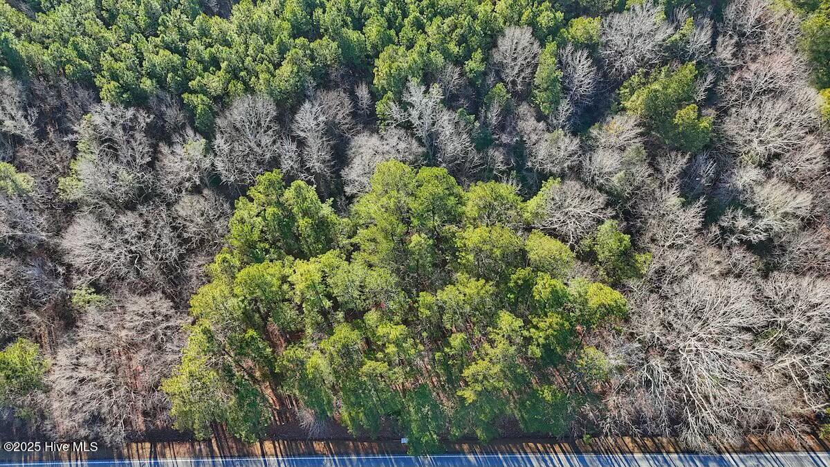 4325 Governors Road Property Photo 25