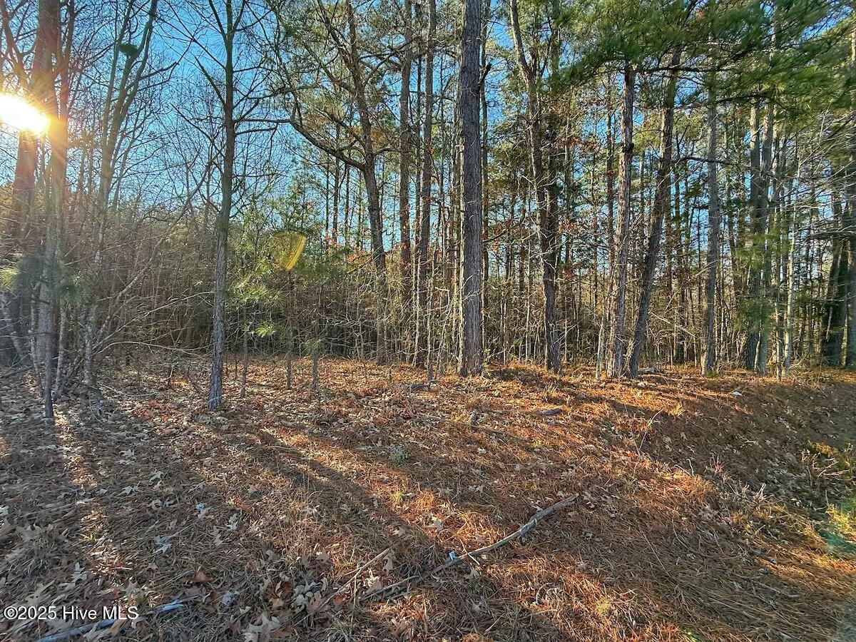 4325 Governors Road Property Photo 27