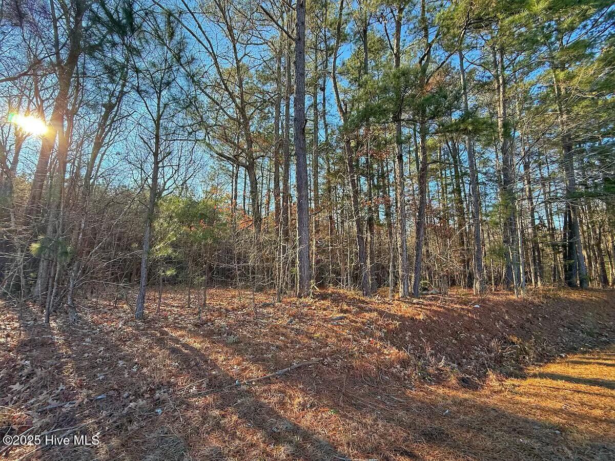 4325 Governors Road Property Photo 29