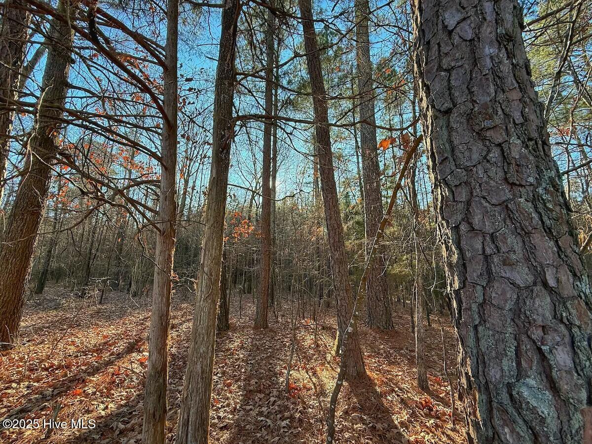 4325 Governors Road Property Photo 31