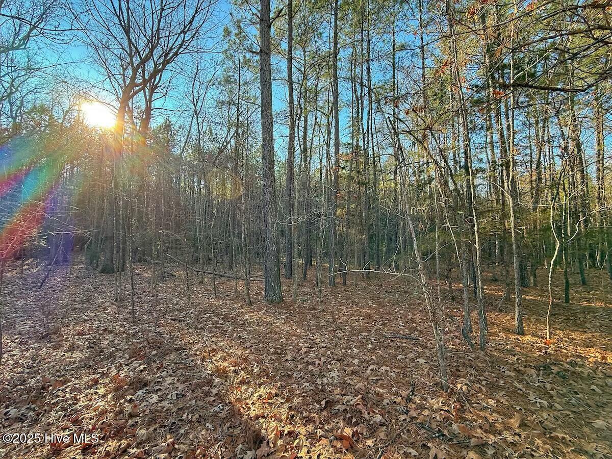 4325 Governors Road Property Photo 32