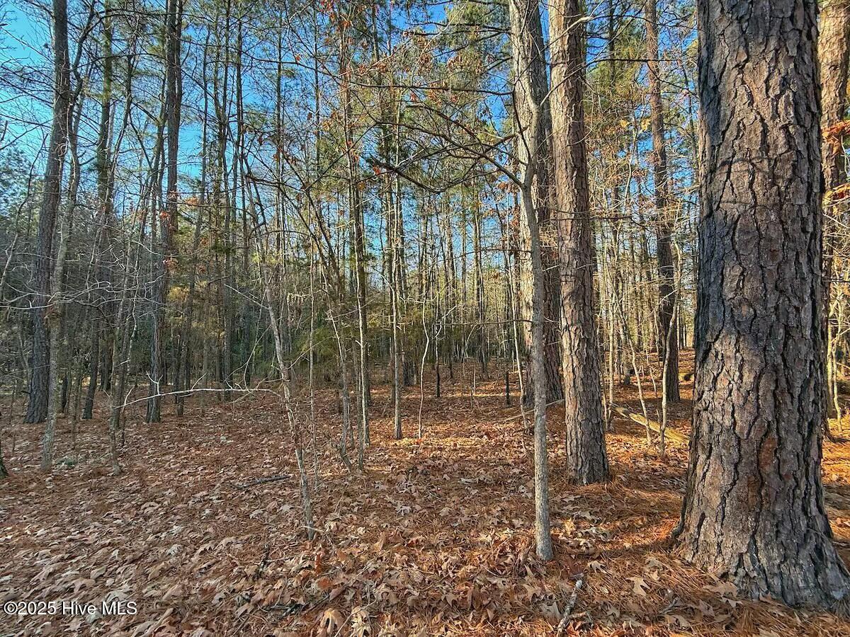4325 Governors Road Property Photo 33