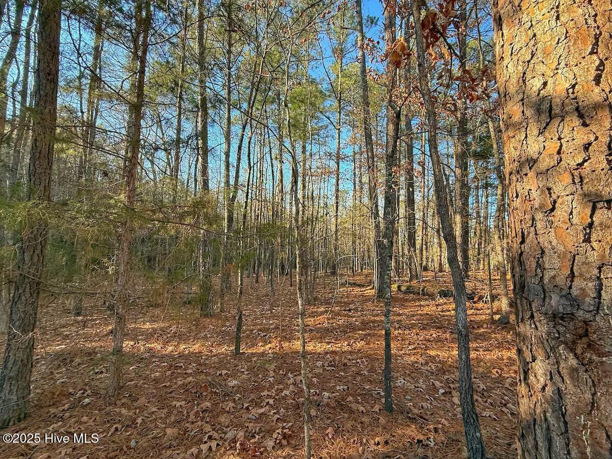 4325 Governors Road Property Photo 34