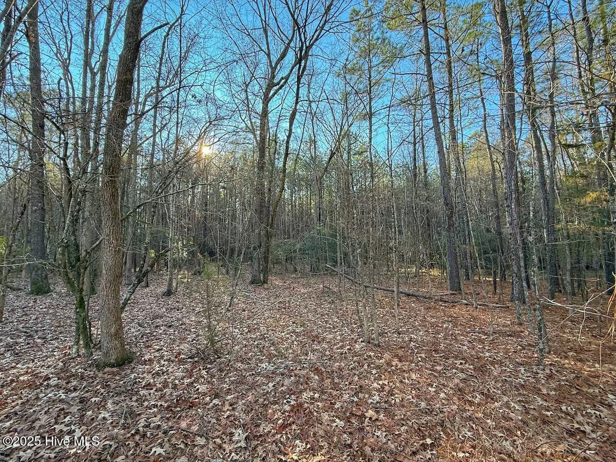 4325 Governors Road Property Photo 35