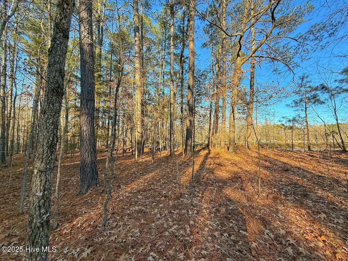 4325 Governors Road Property Photo 36