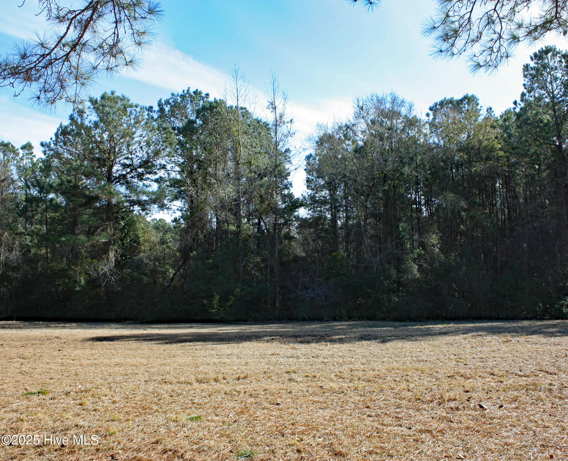 589 Lindgrove Place Property Photo 4