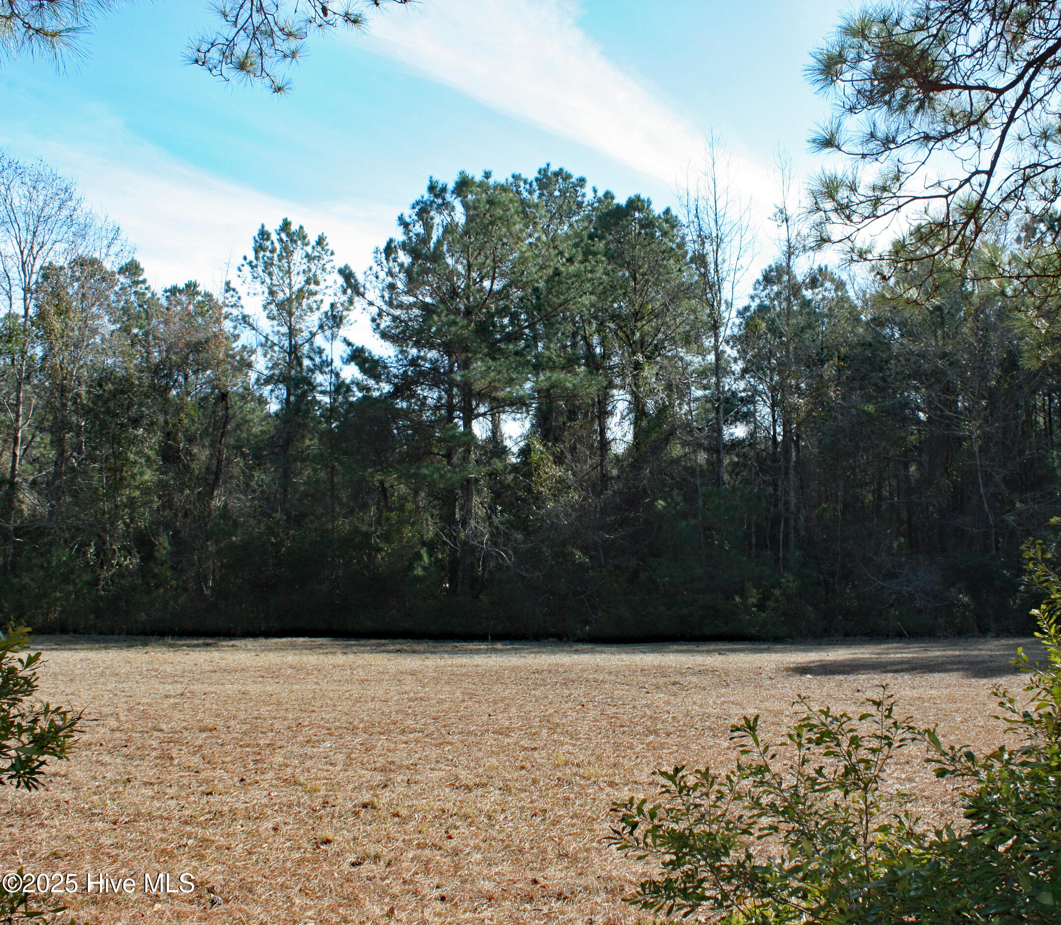 593 Lindgrove Place Property Photo 2