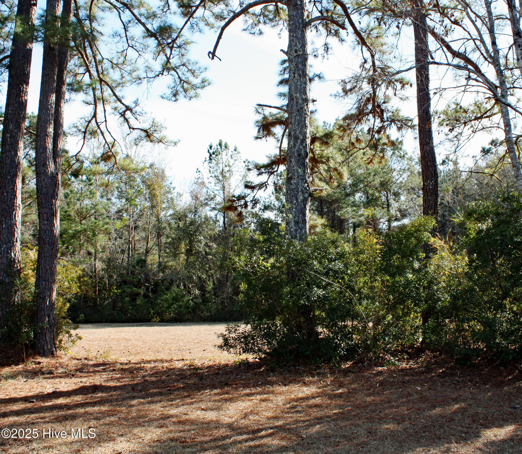 593 Lindgrove Place Property Photo 3